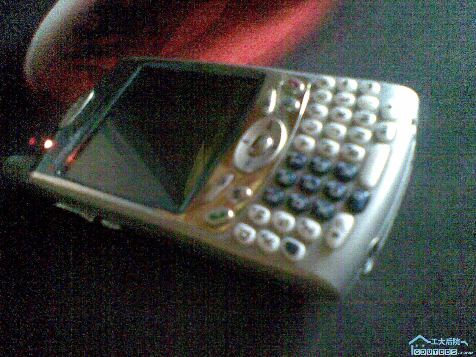 20100103.jpg