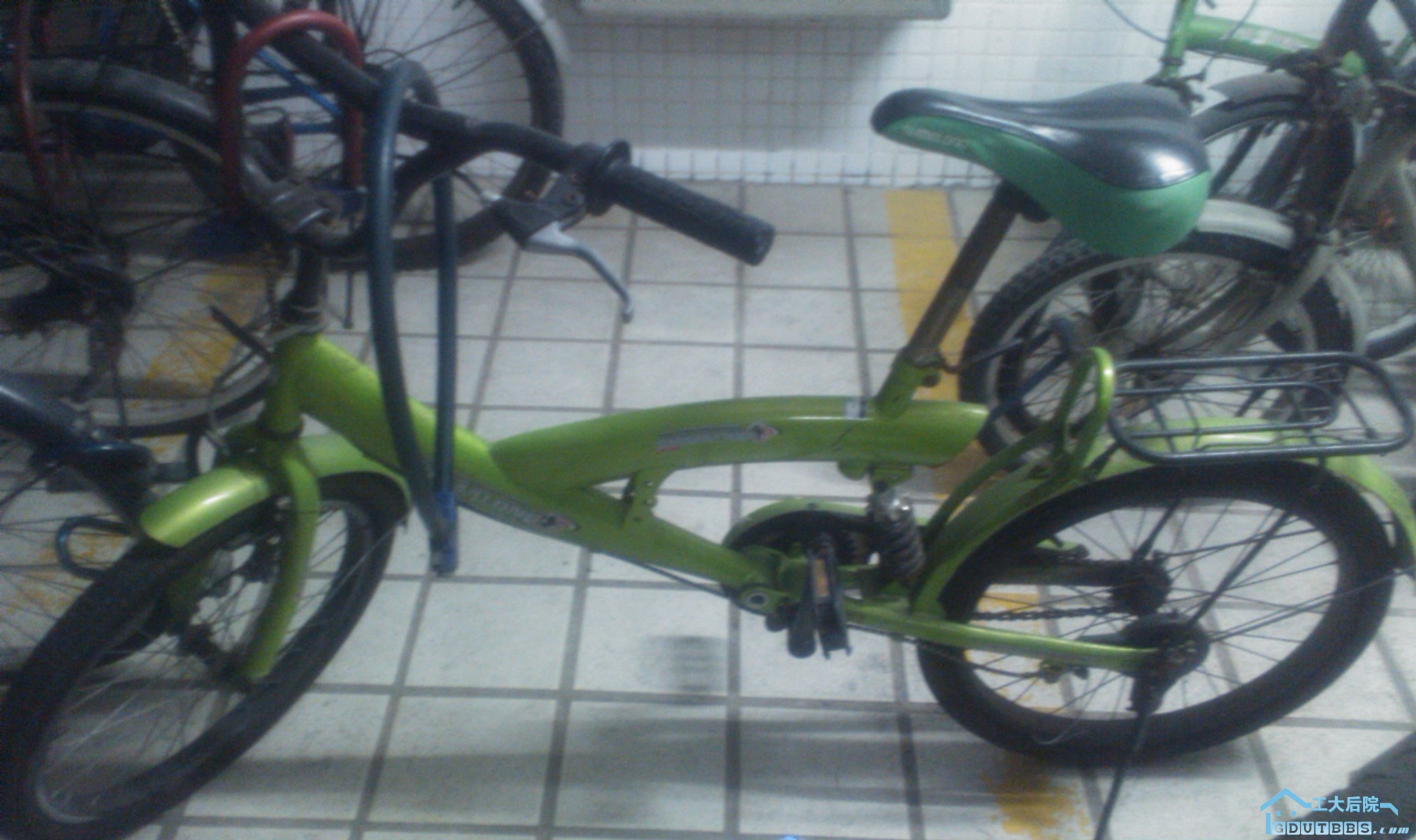 IMAG0019.jpg