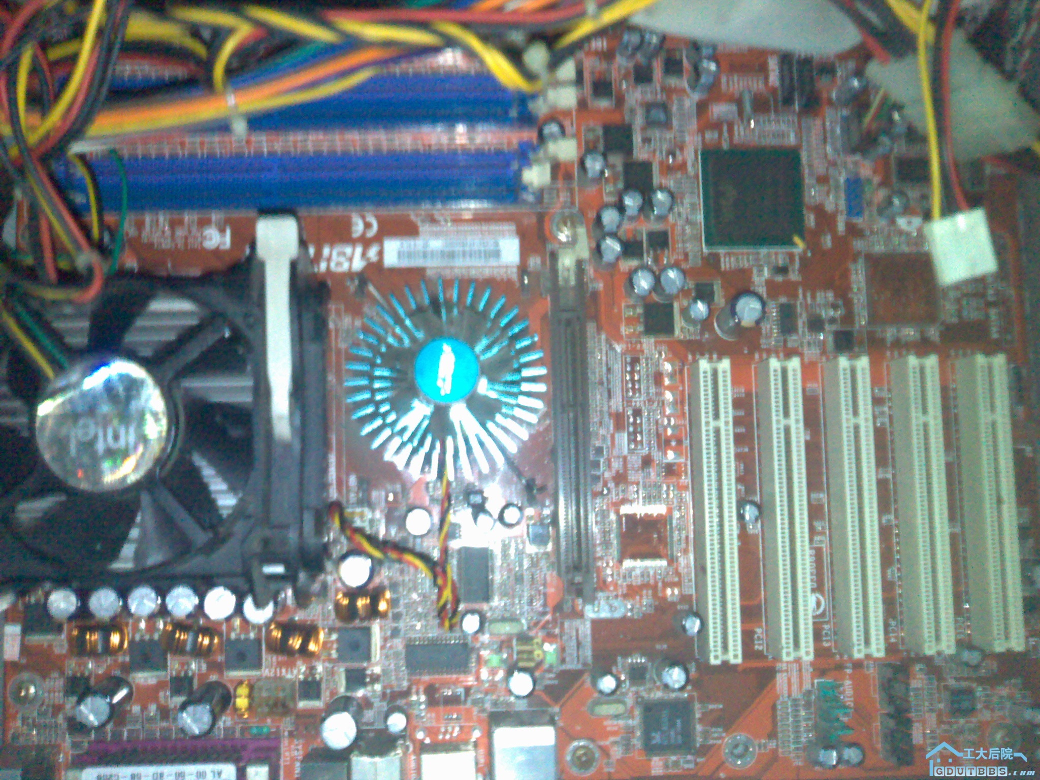 20100105508.jpg