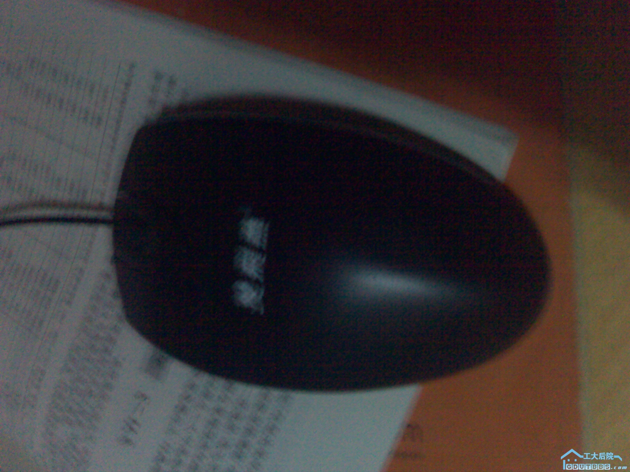 20100105507.jpg