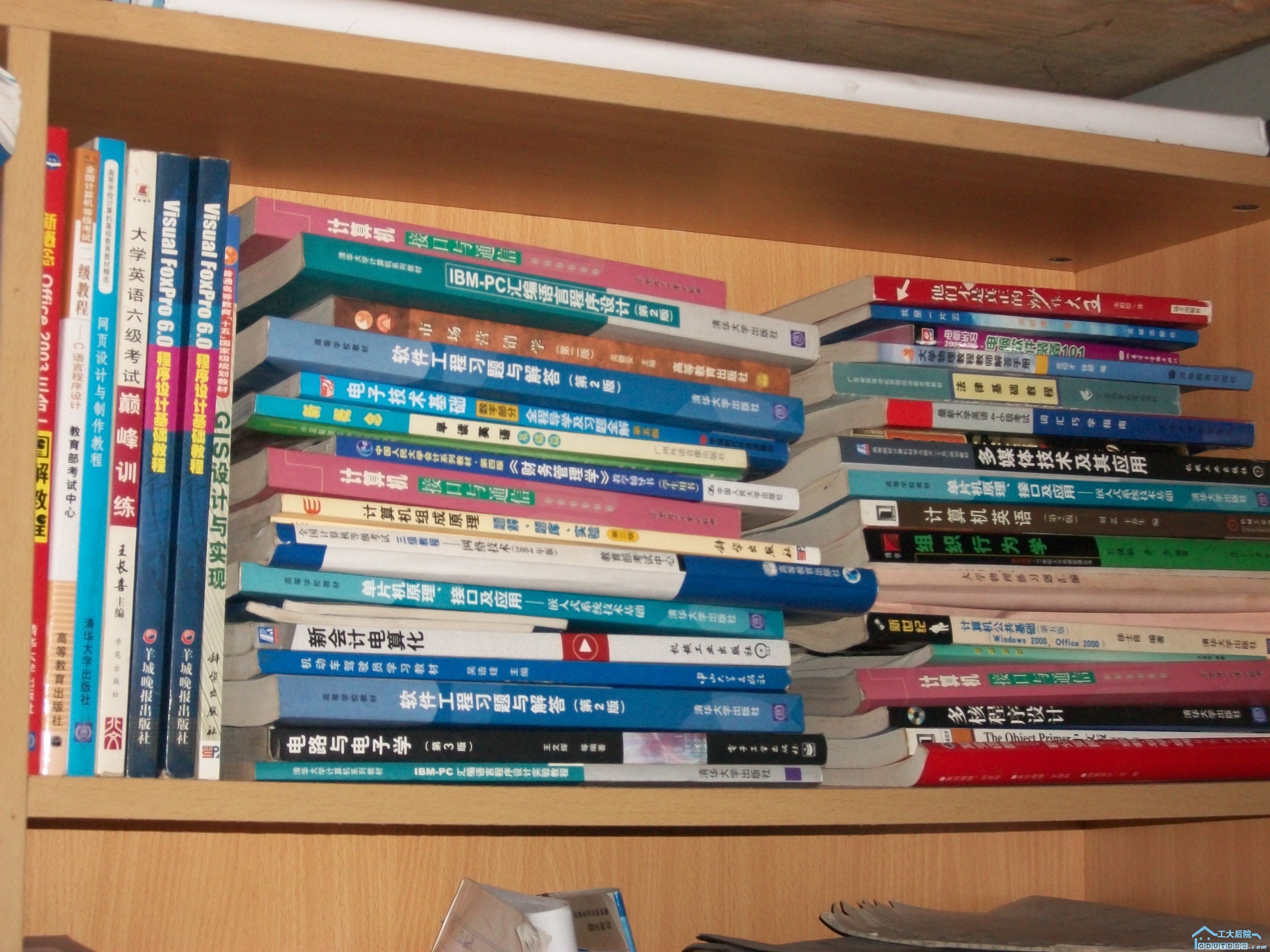 100_0049.JPG