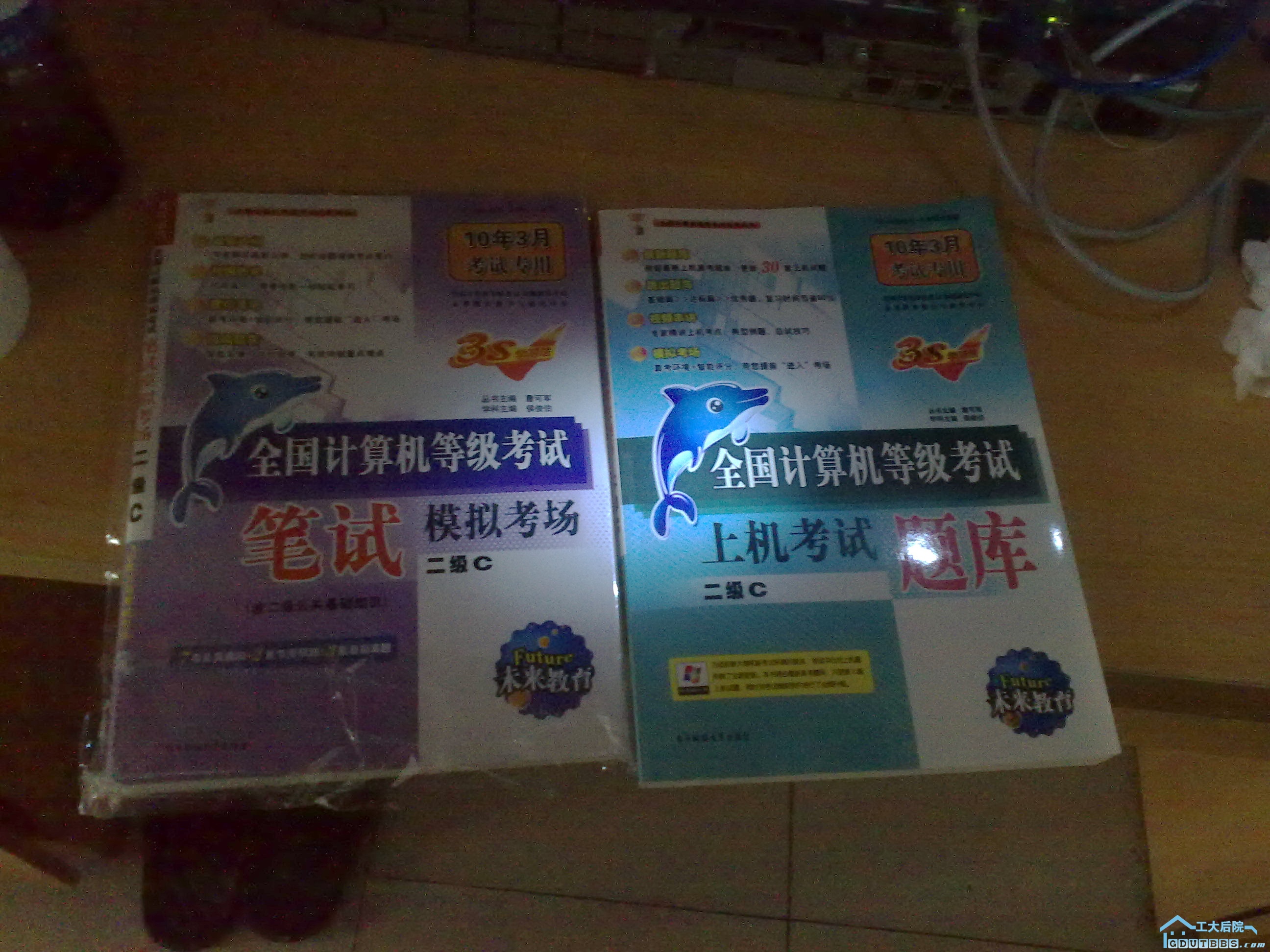 20100110994.jpg