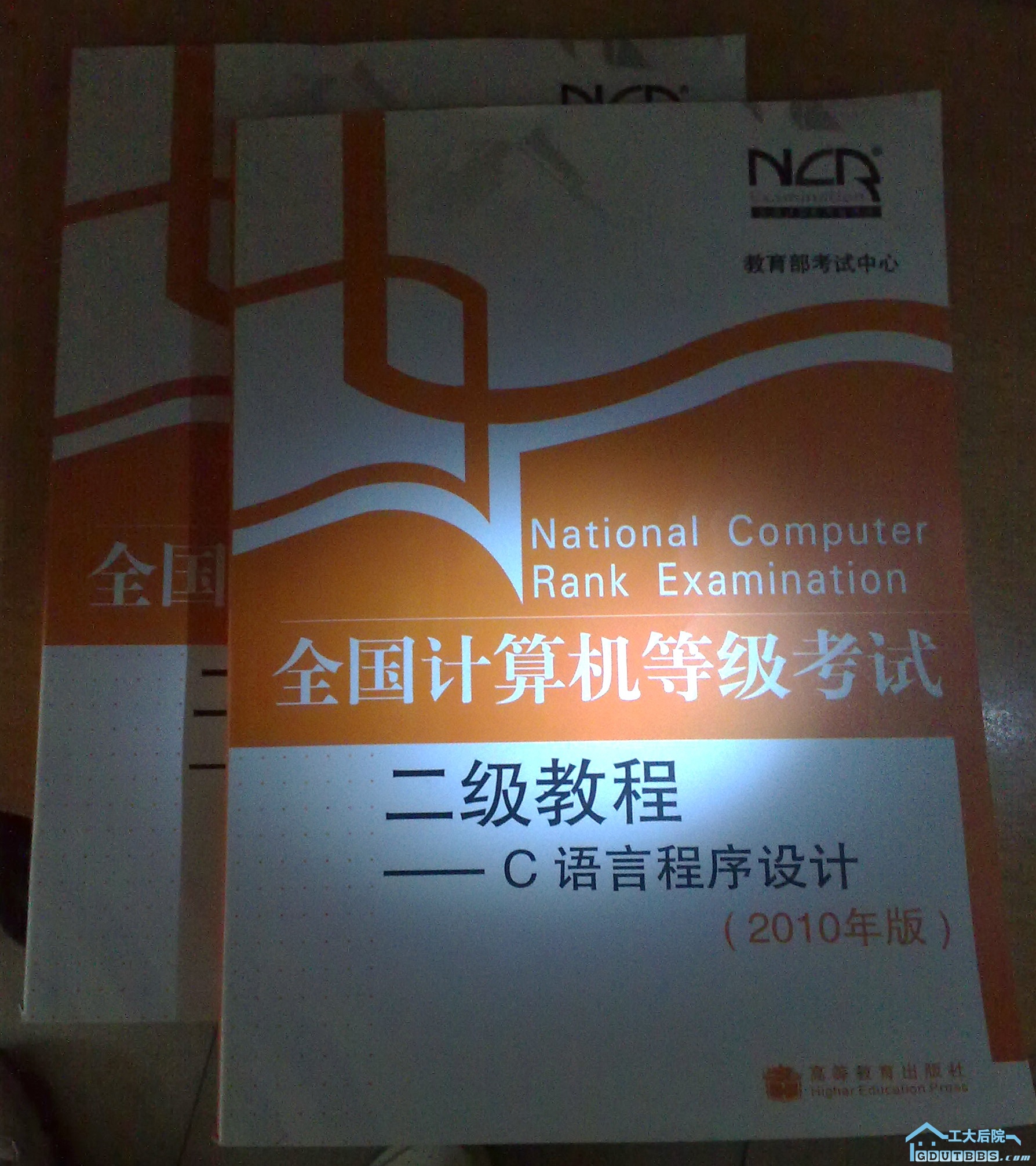 20100110993.jpg