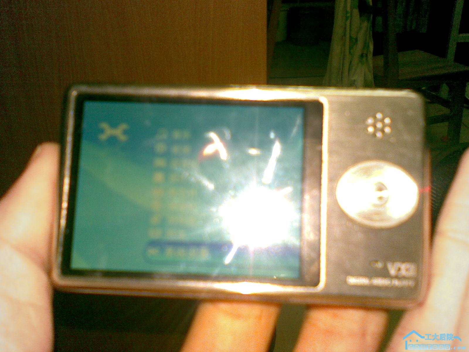 20100110_005.jpg