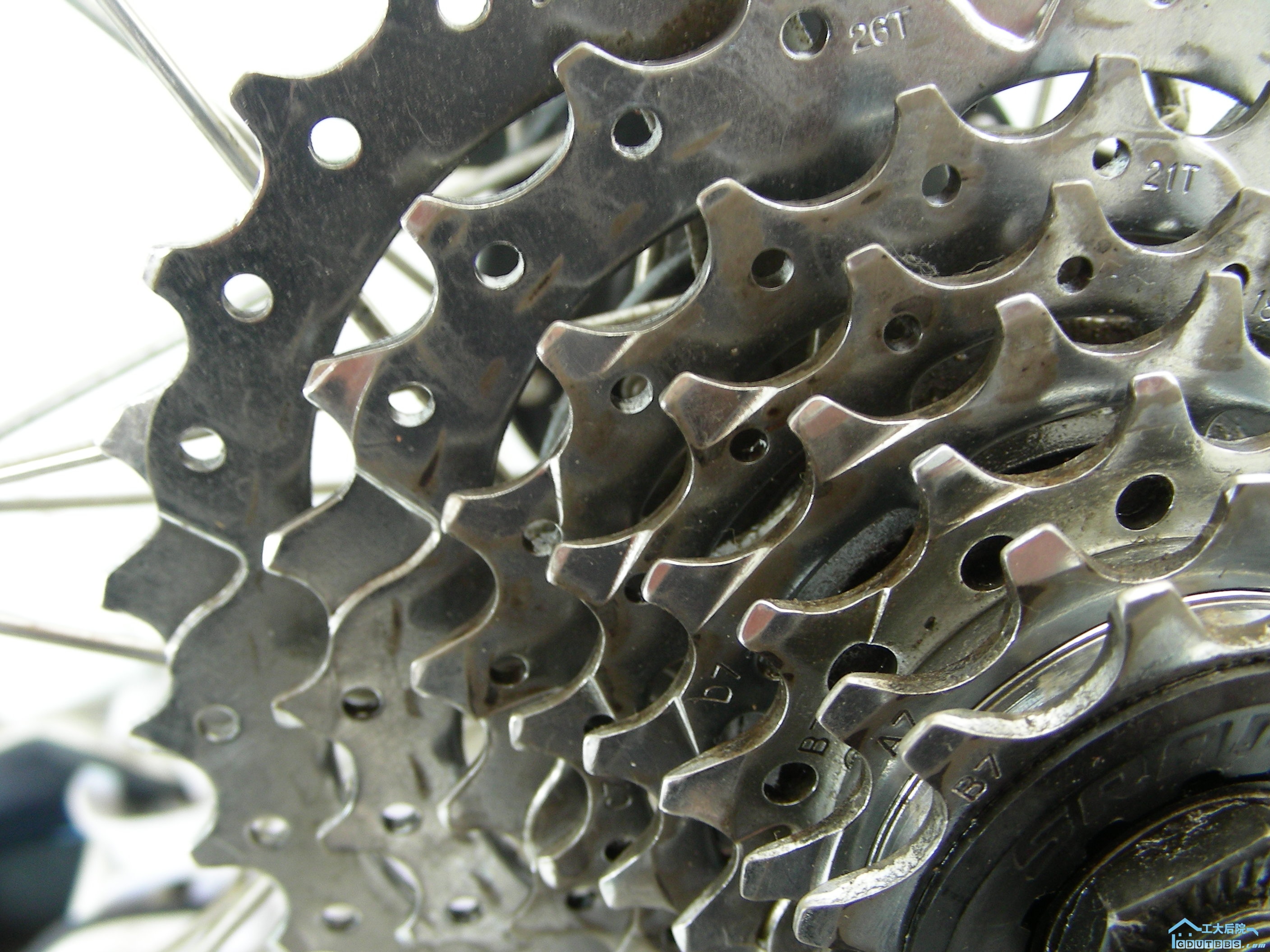 DSCN8520.JPG