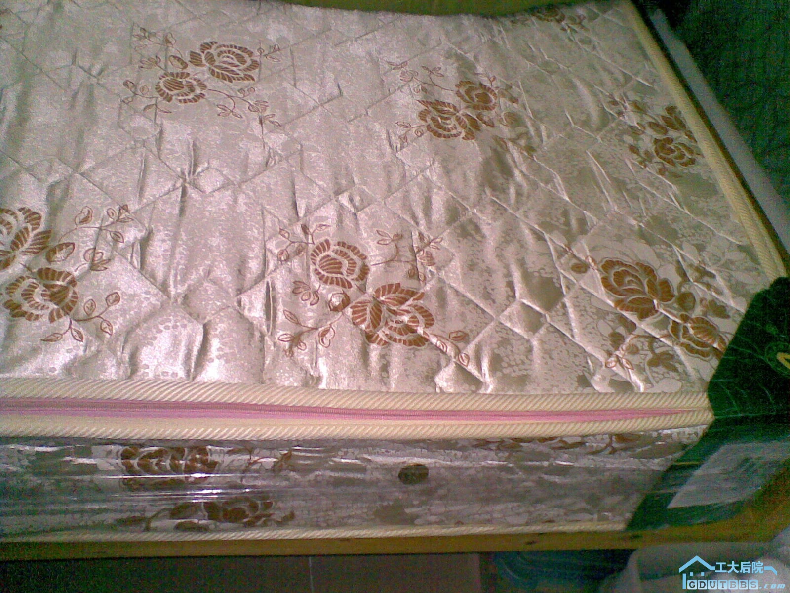 20100118_006.jpg