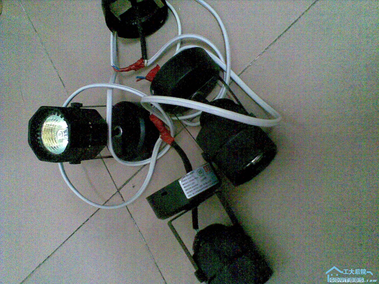 20100118_010.jpg