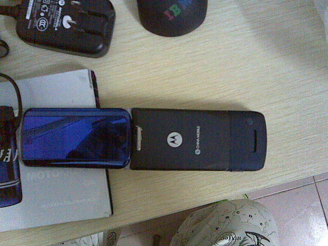 20100123(004).jpg