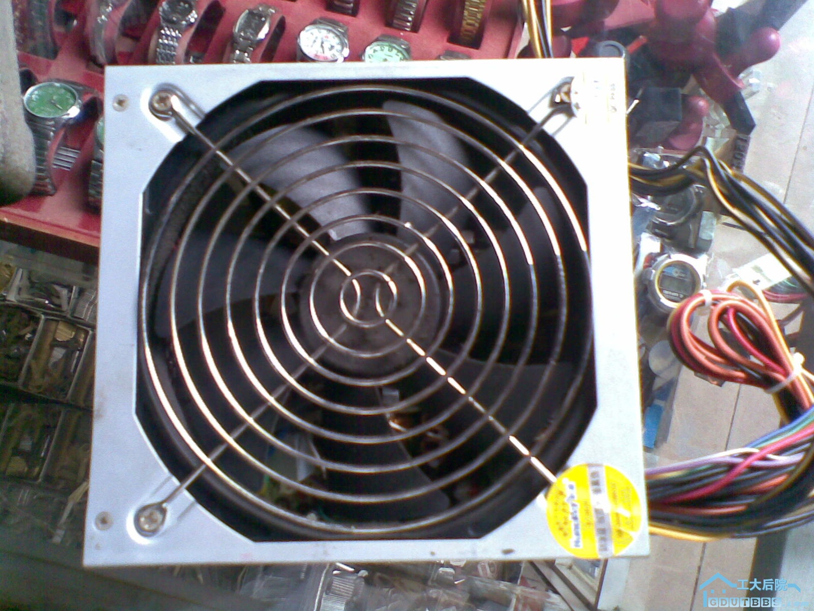 20100131.jpg