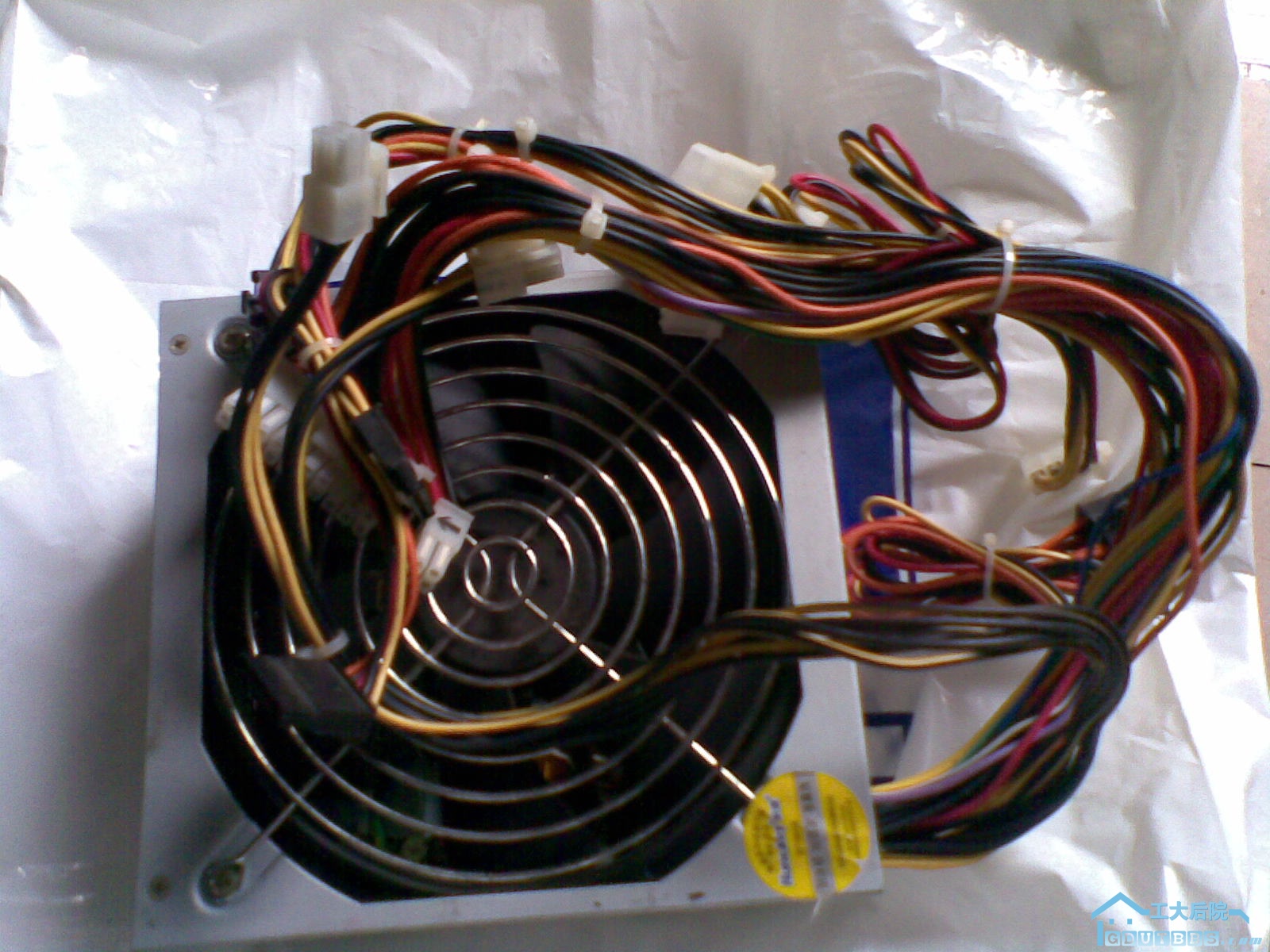 20100131_002.jpg