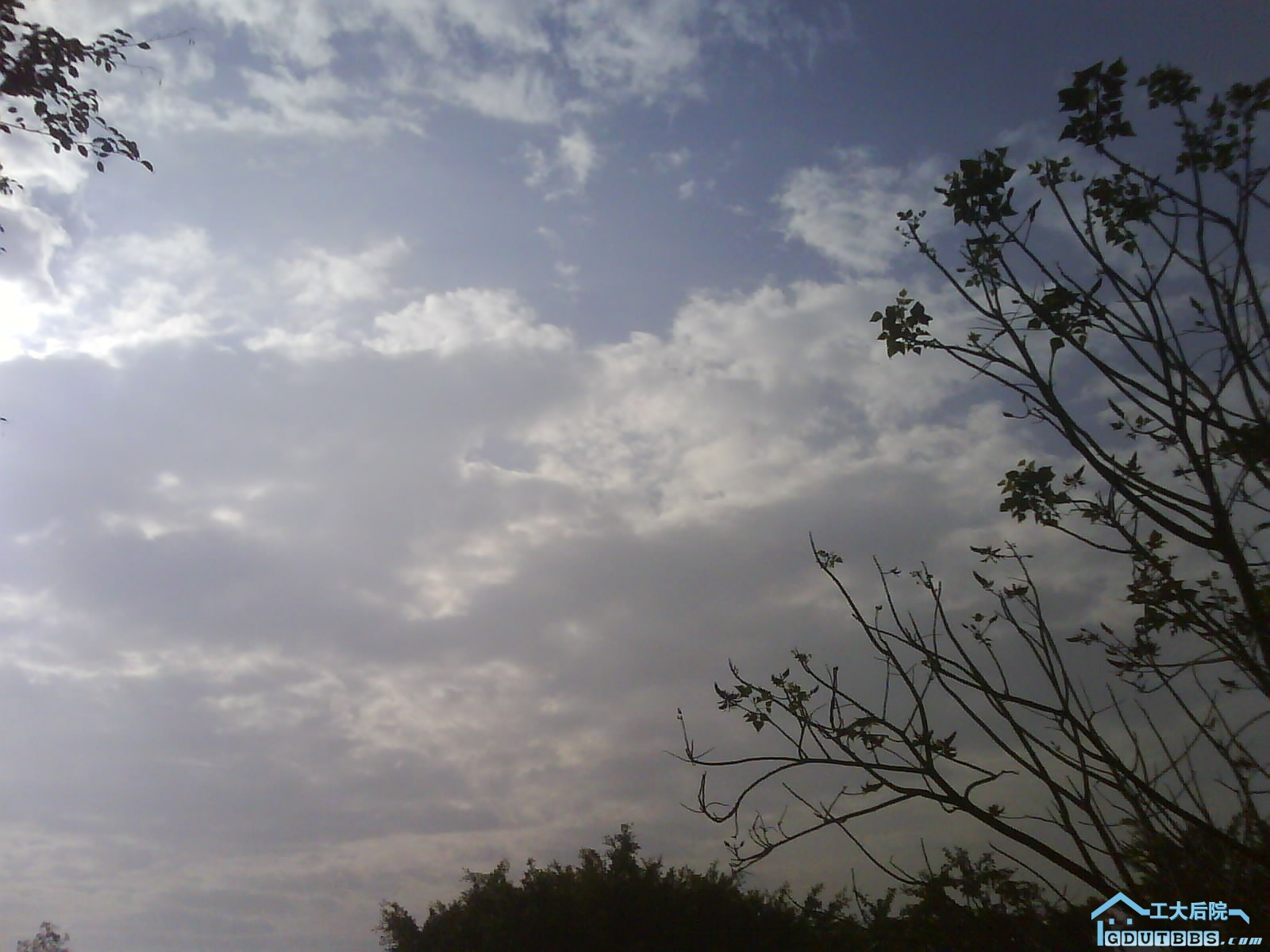 DSC00024.JPG
