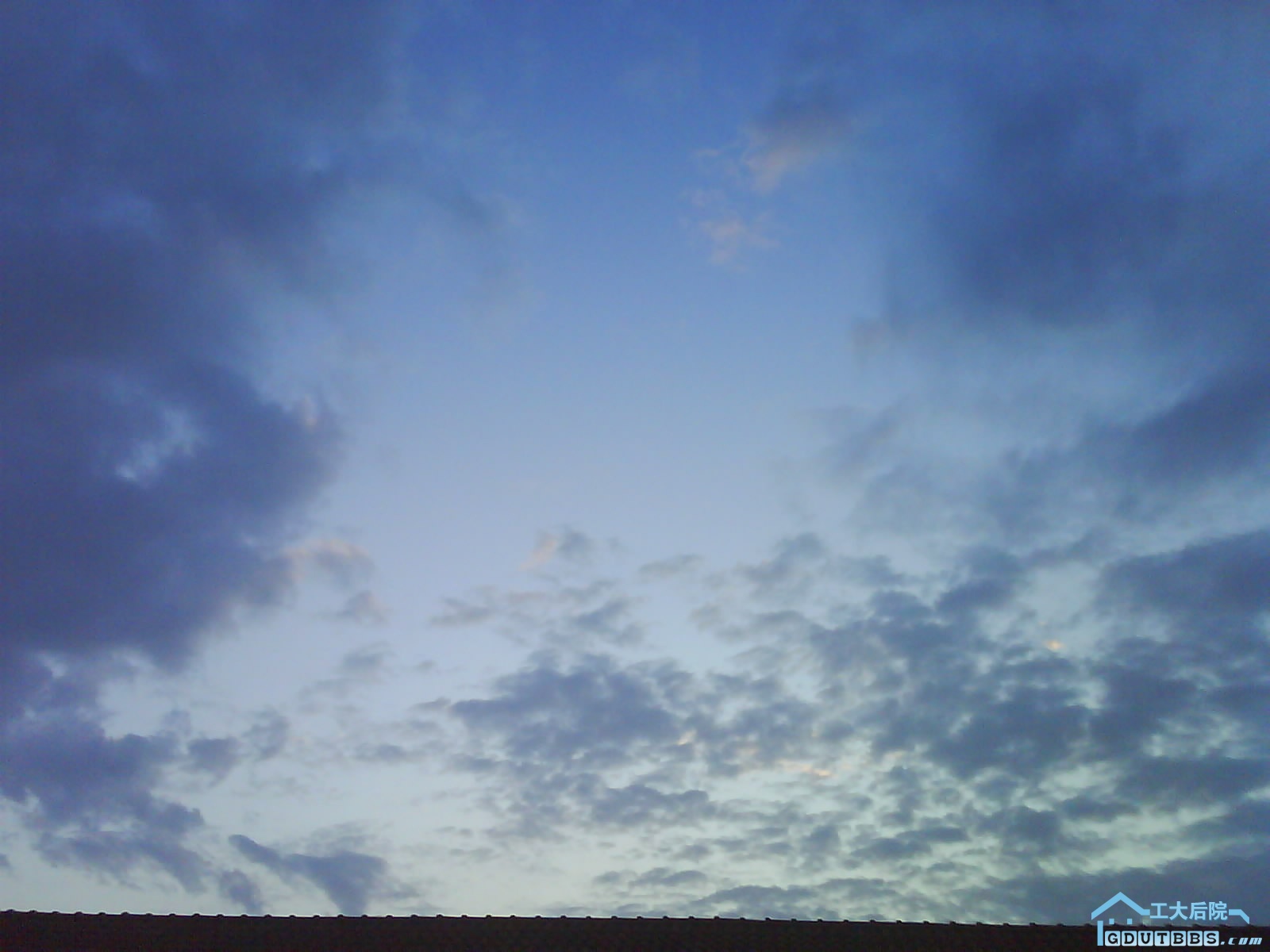 DSC00100.JPG