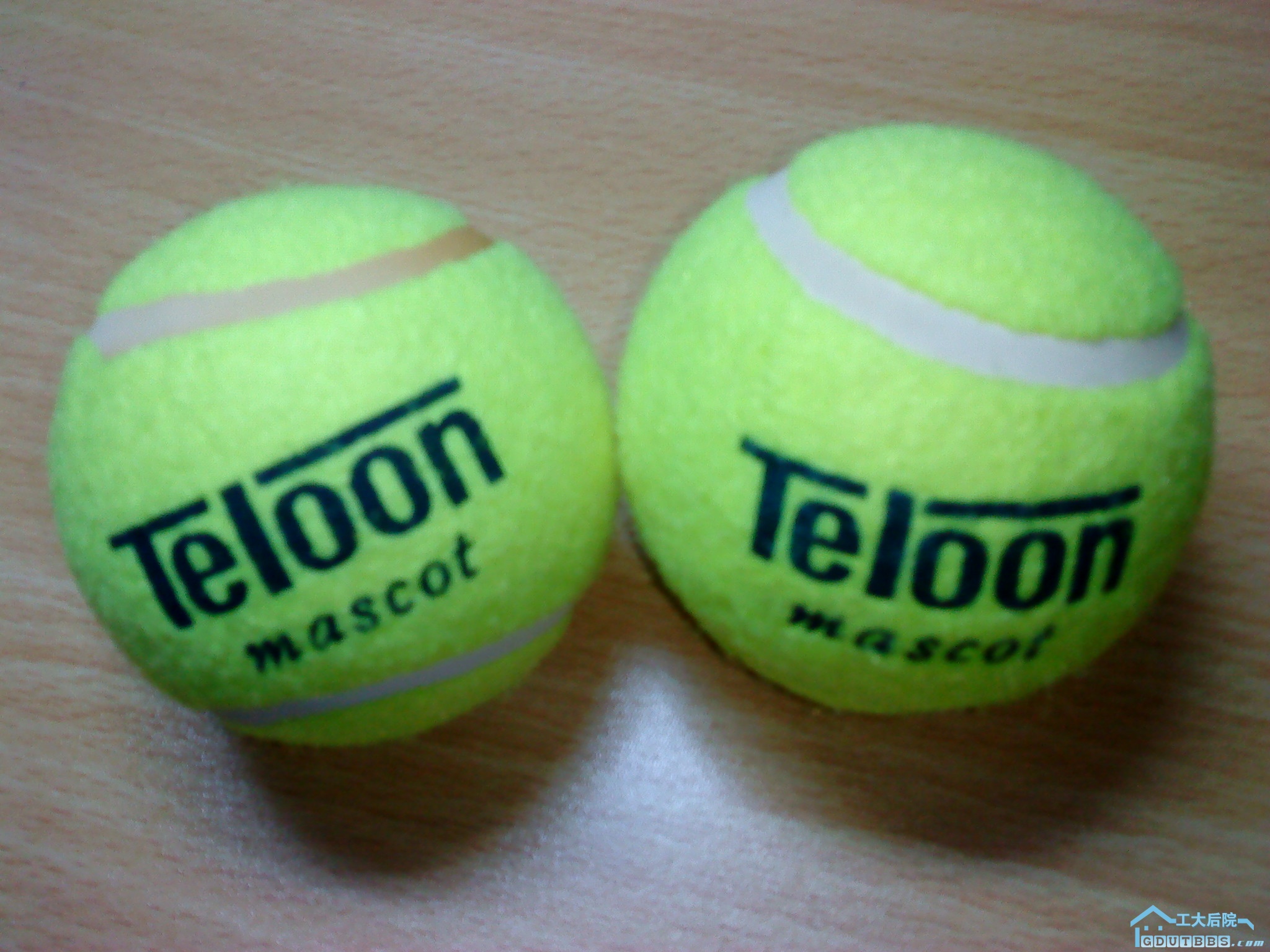 DSC00011.JPG