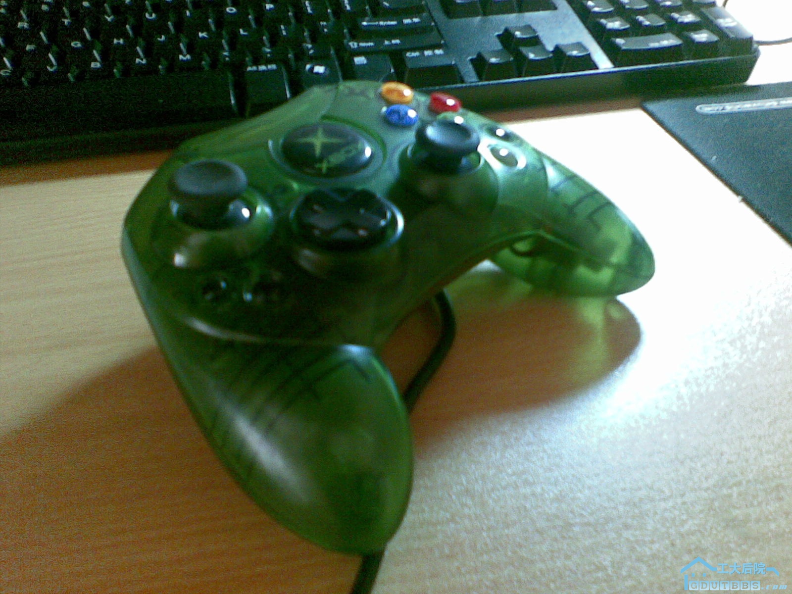 20100227(001).jpg