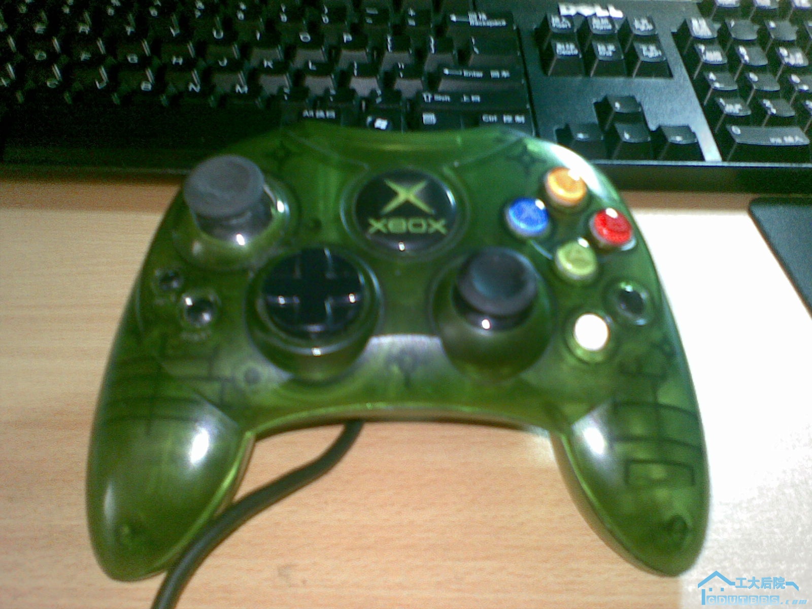 20100227.jpg