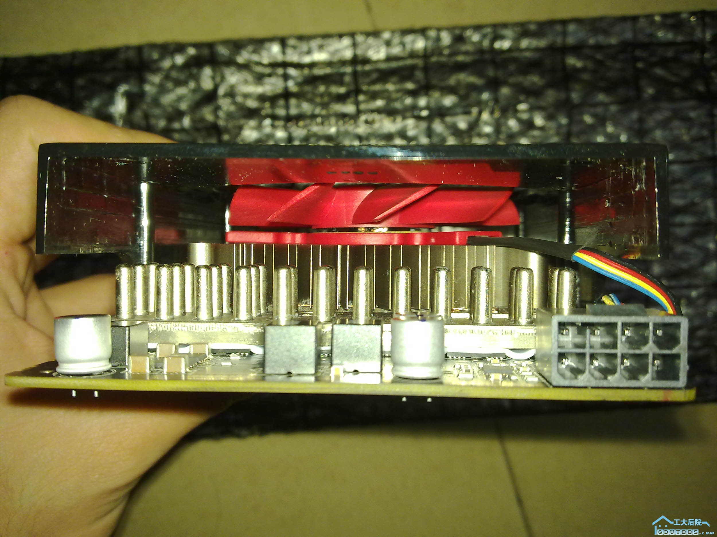 20100227660.jpg