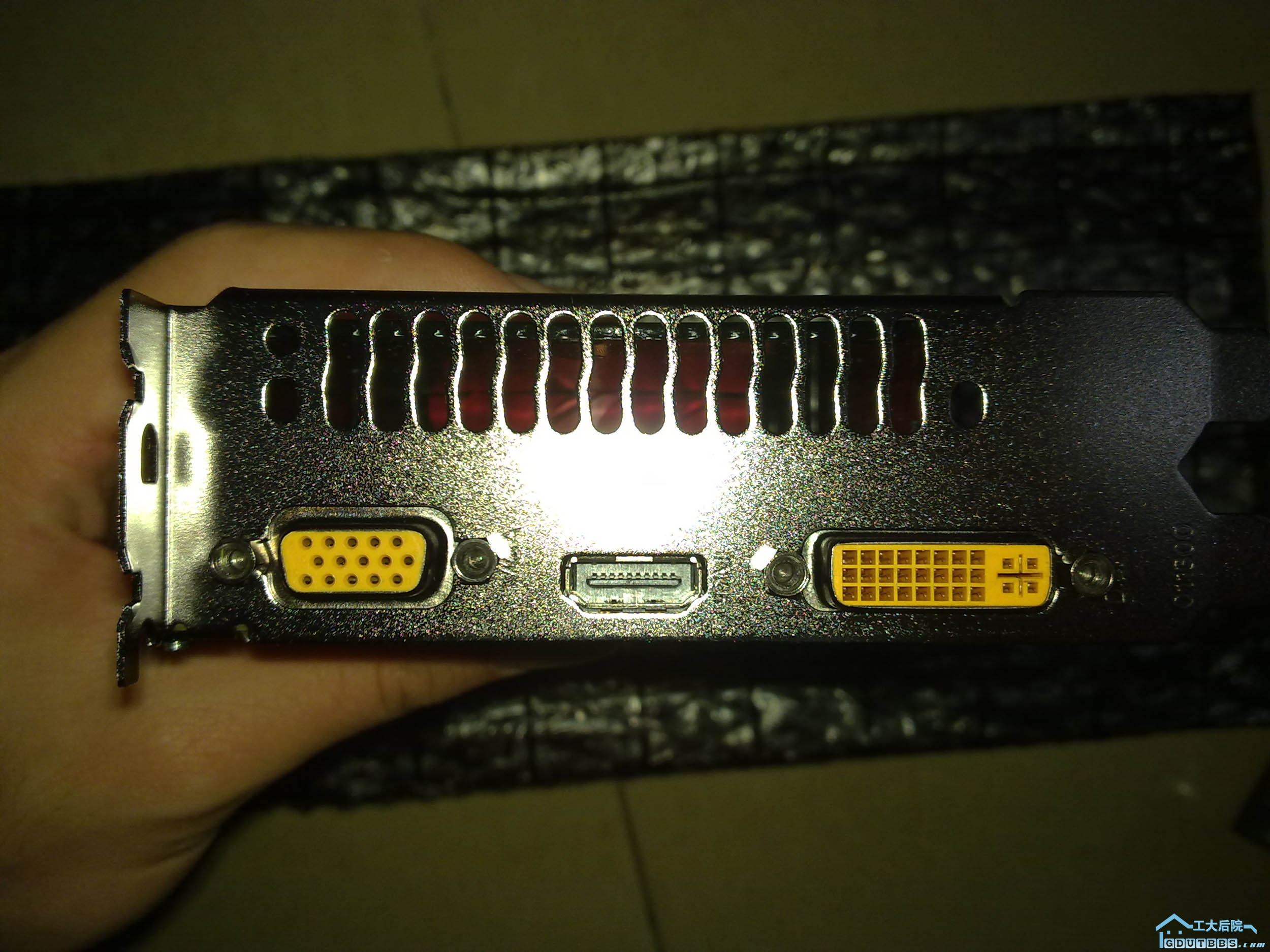 20100227662.jpg