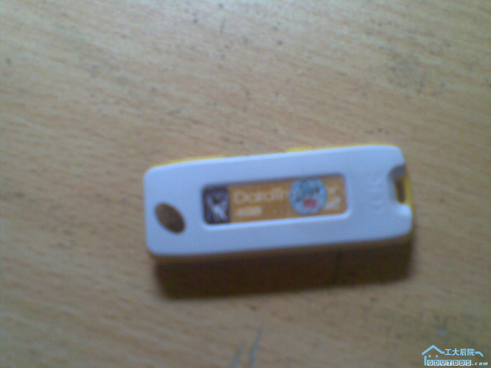 20100304_006.jpg
