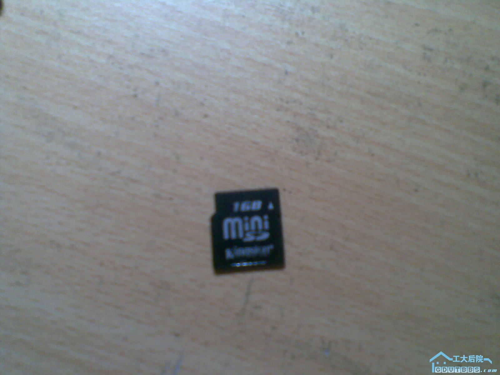 20100304_008.jpg