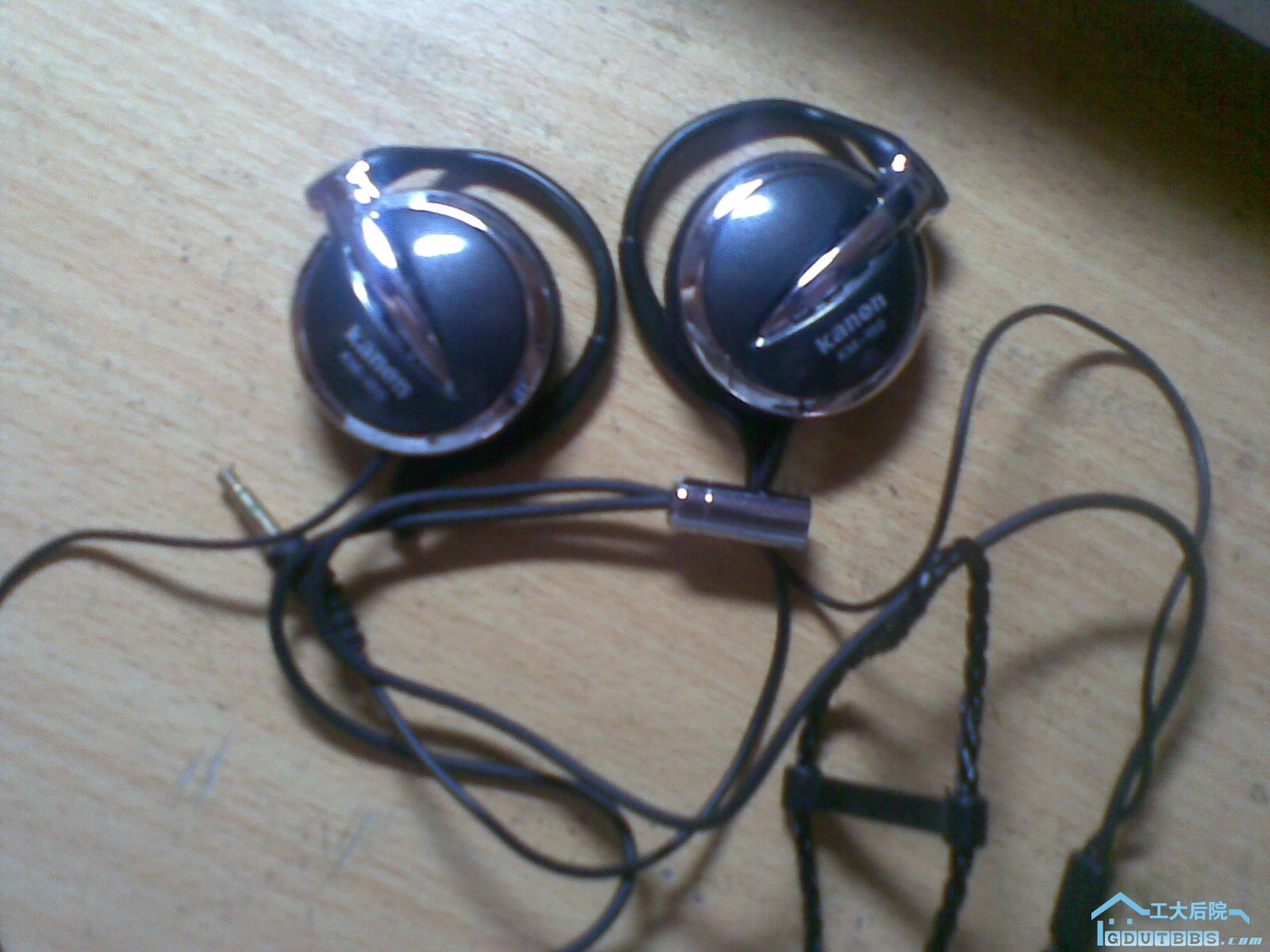 20100304_014.jpg