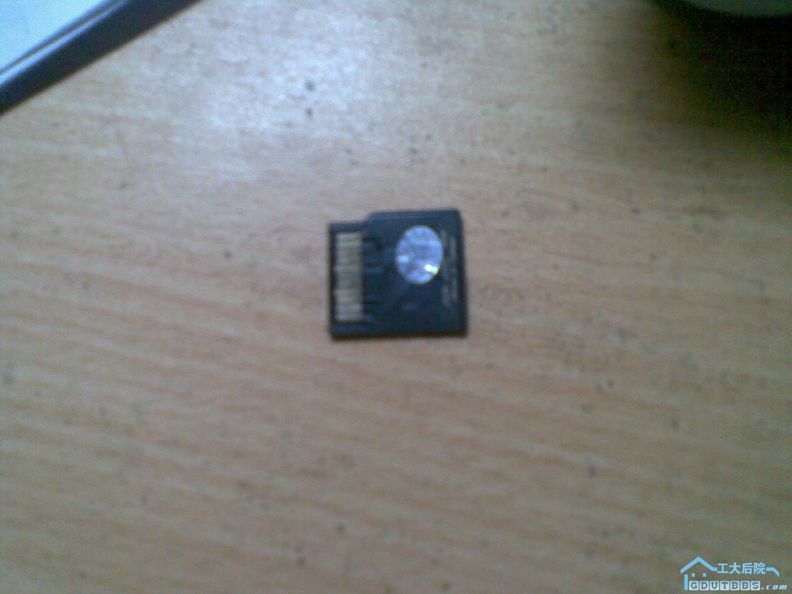 20100304_009.jpg
