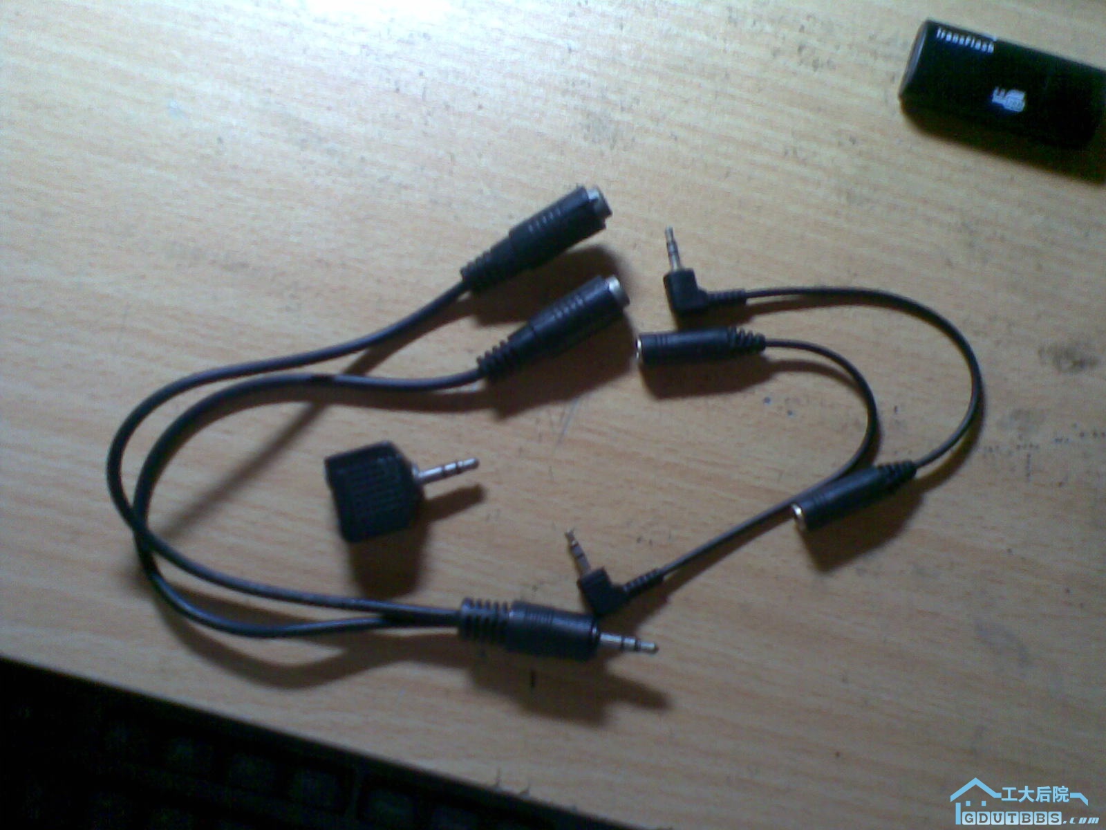 20100304_017.jpg