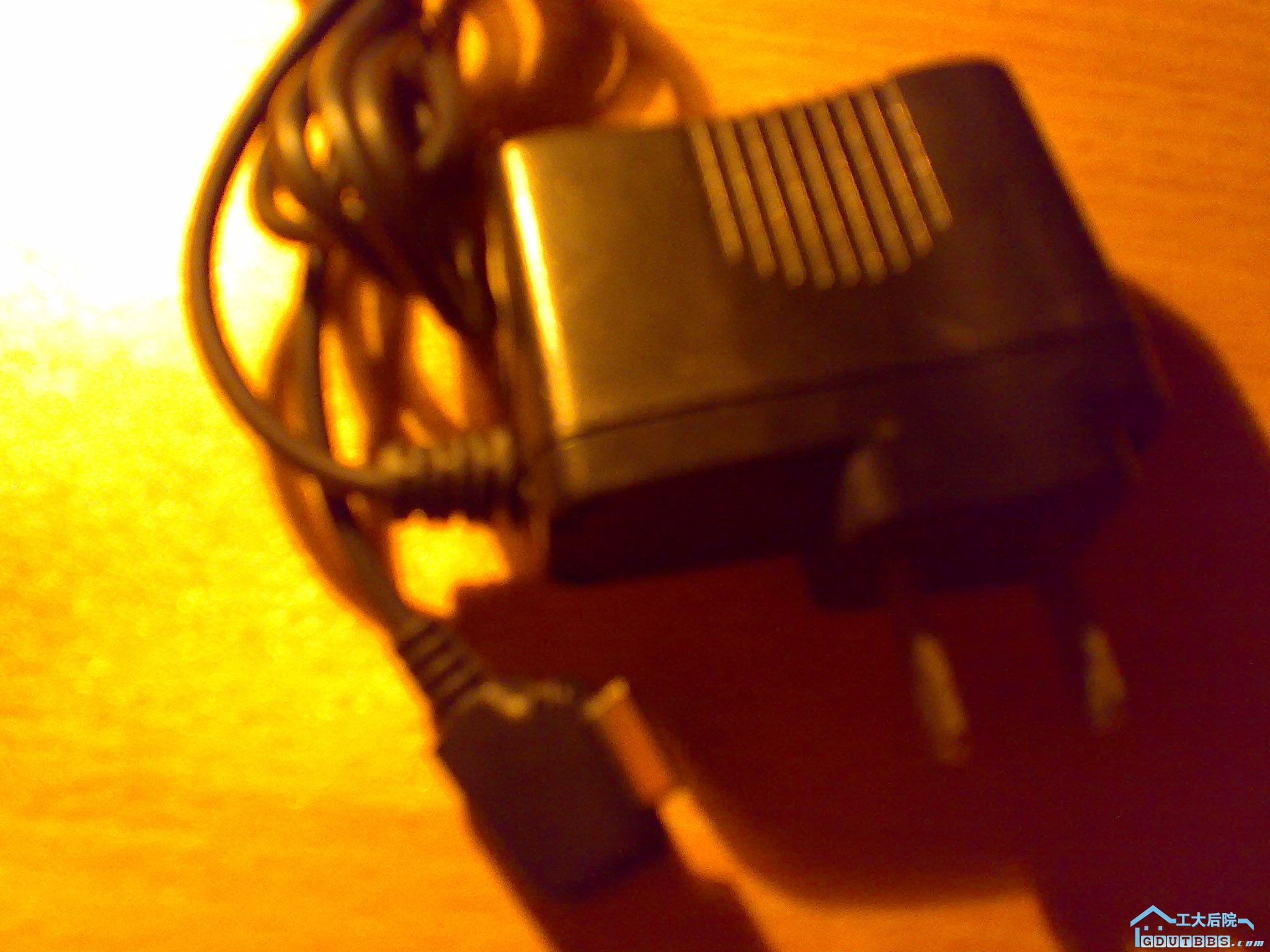 201003041041.jpg