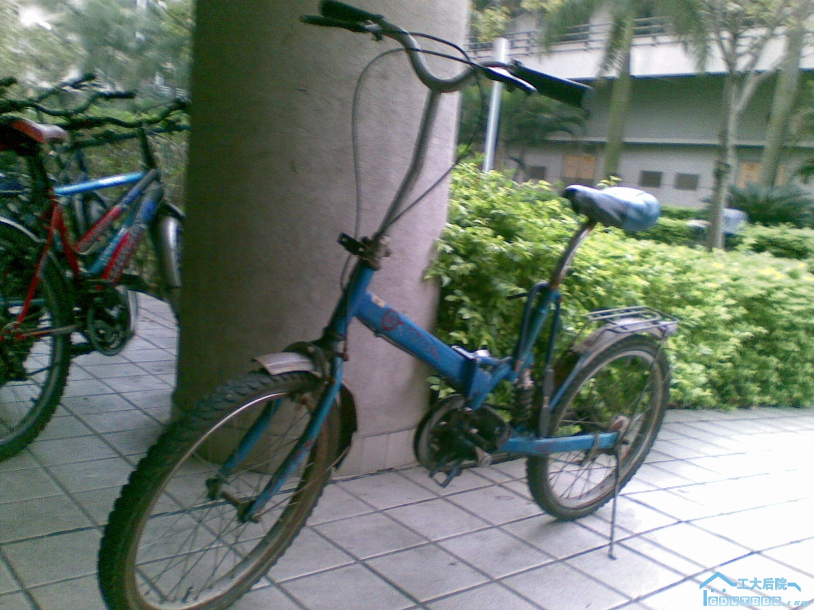 20100304(010).jpg
