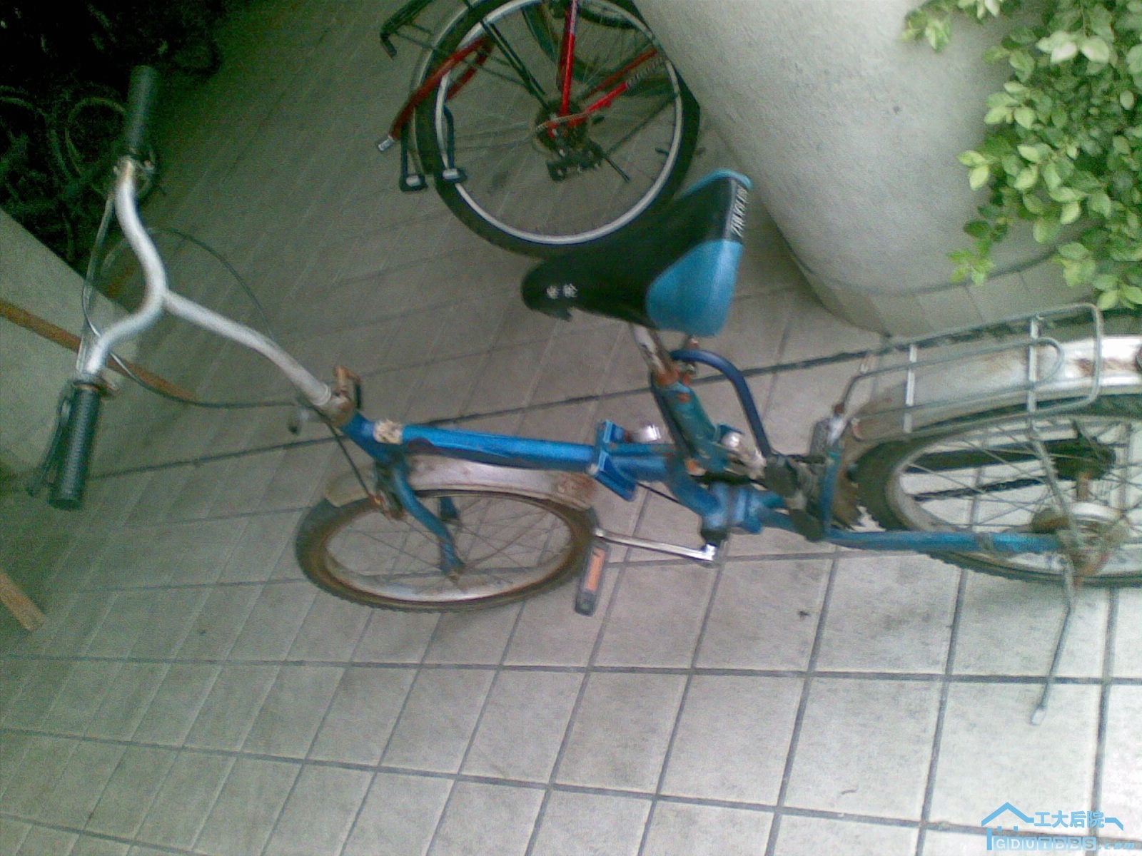 20100304(009).jpg