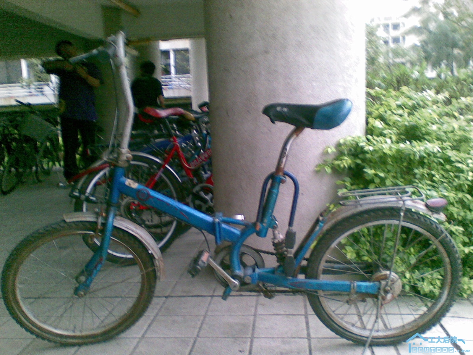 20100304(008).jpg