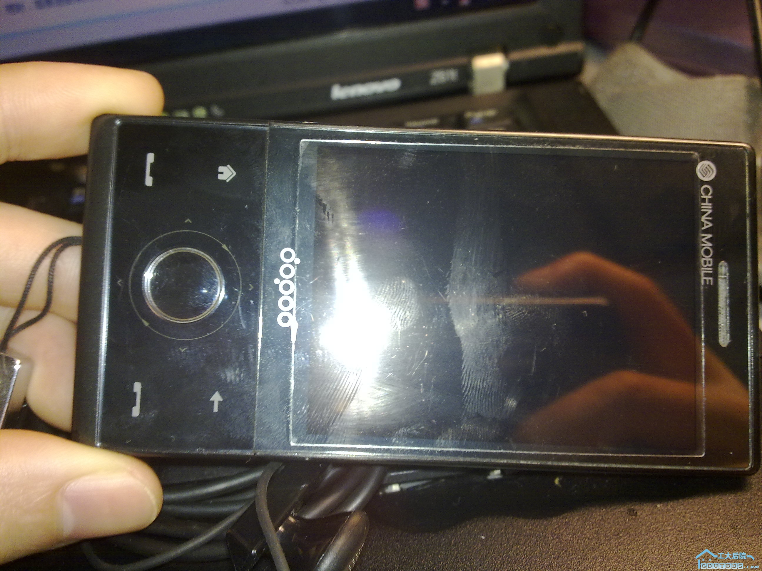 20100305177.jpg
