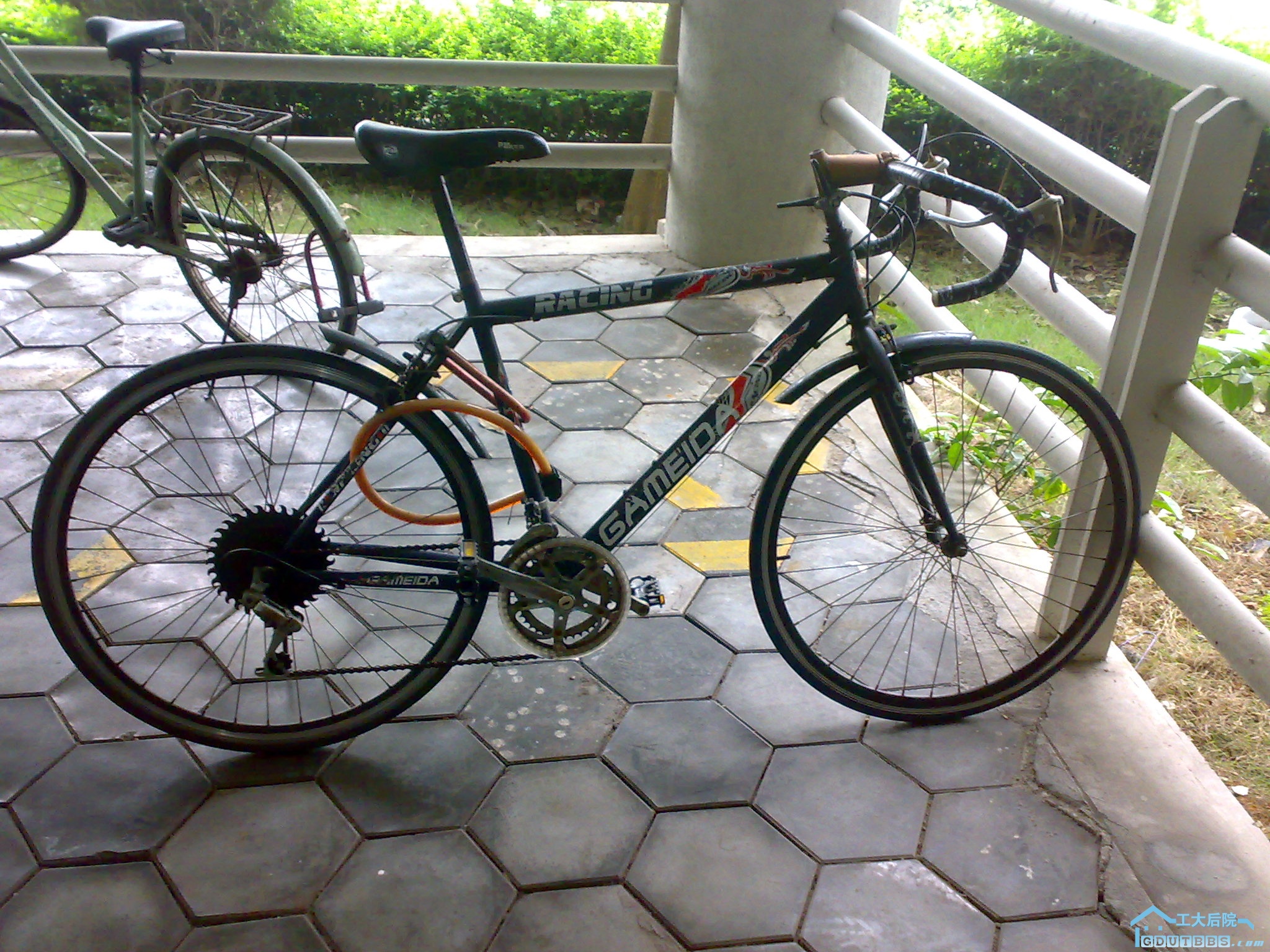 20100304019.jpg