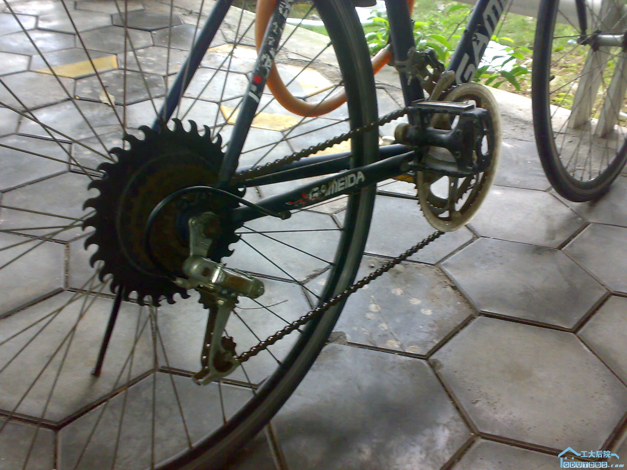 20100304021.jpg
