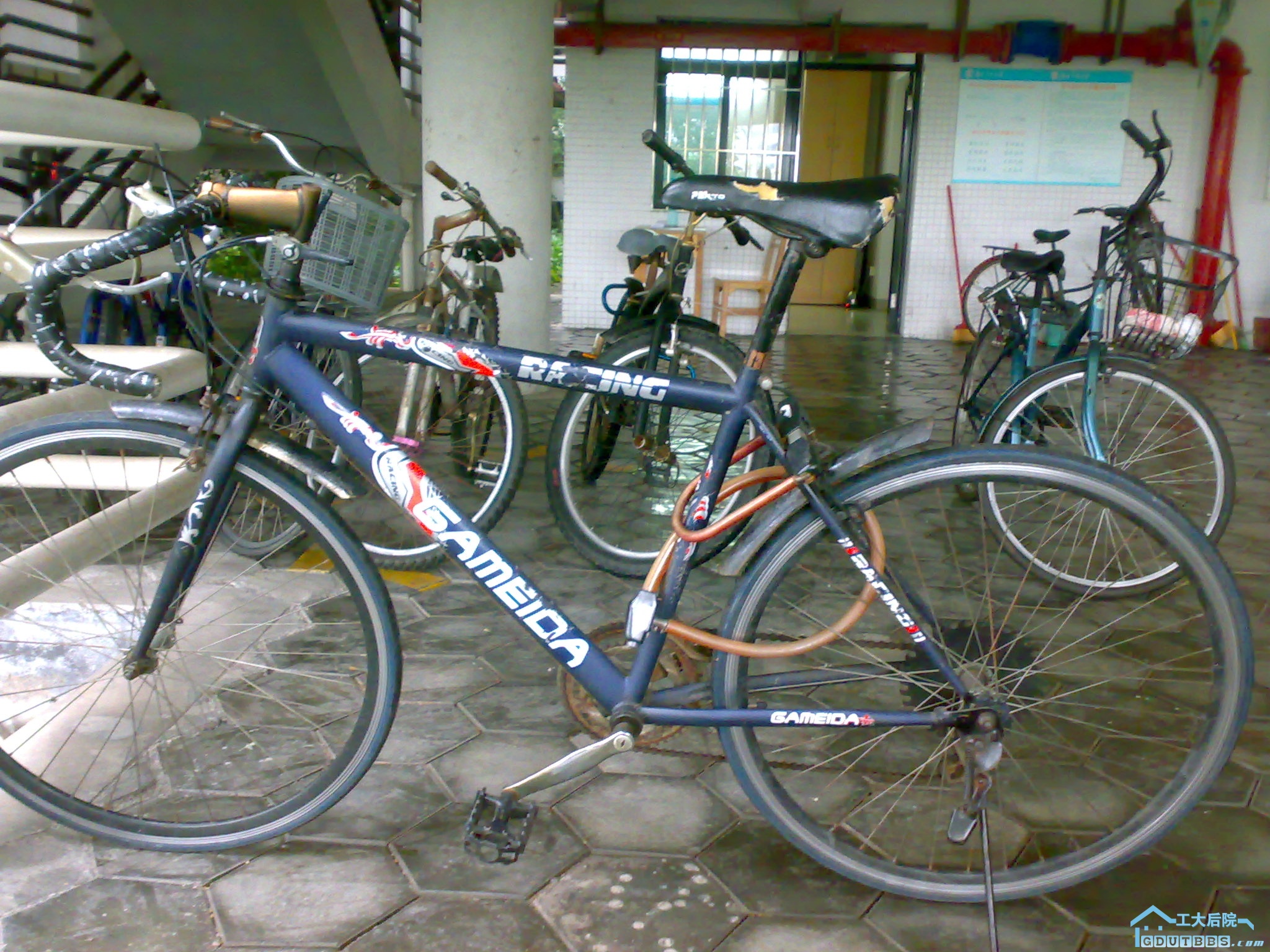 20100304020.jpg