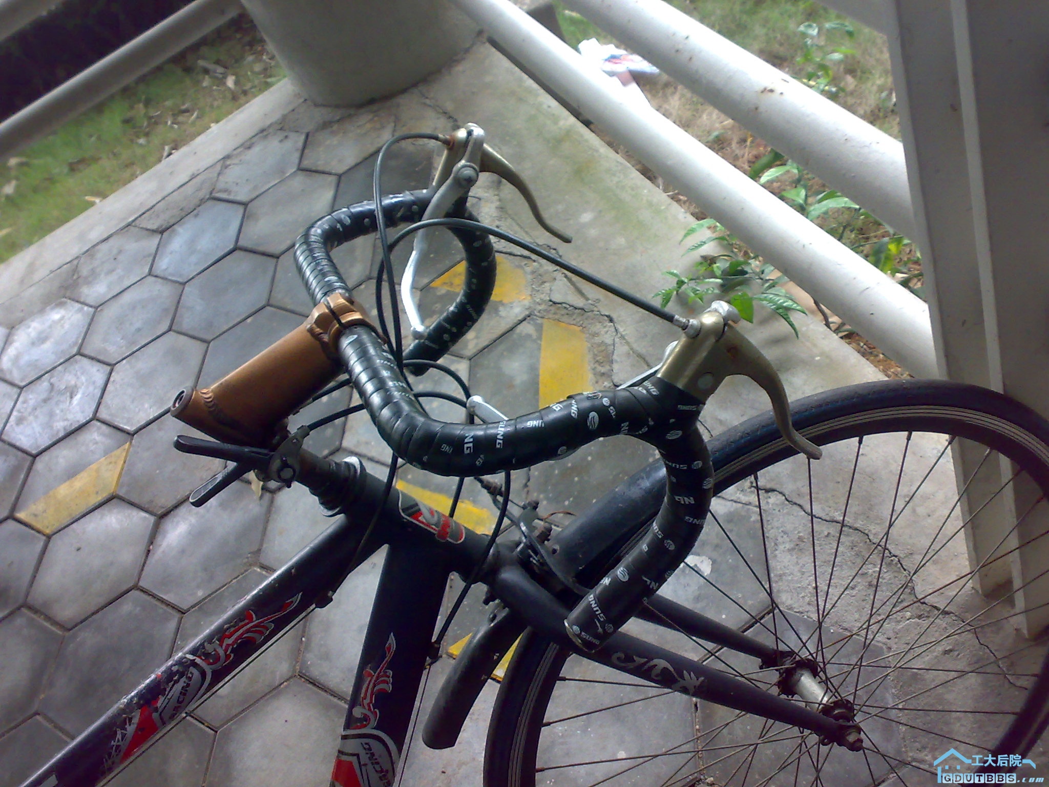 20100304022.jpg