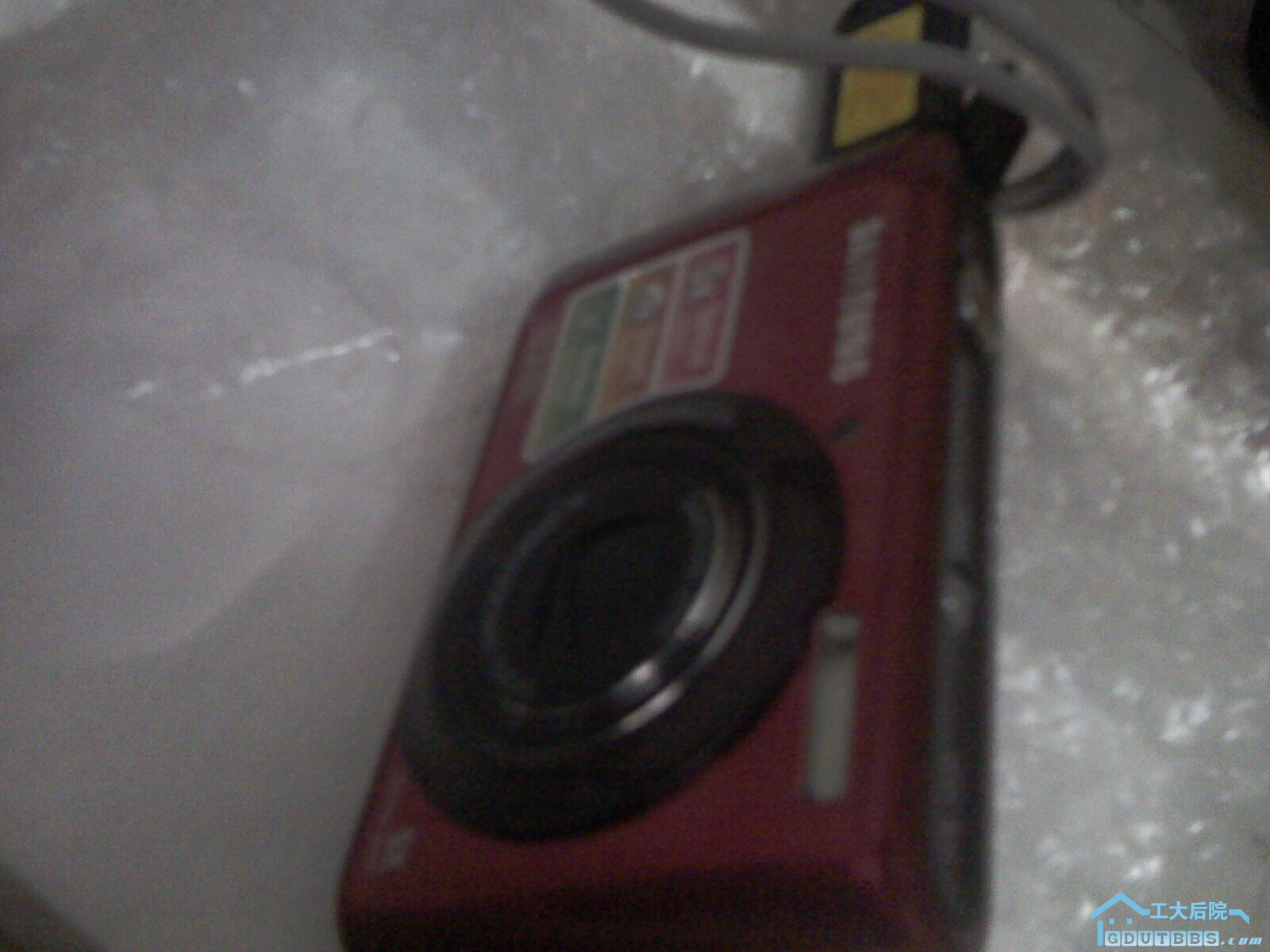 IMAG0049.jpg