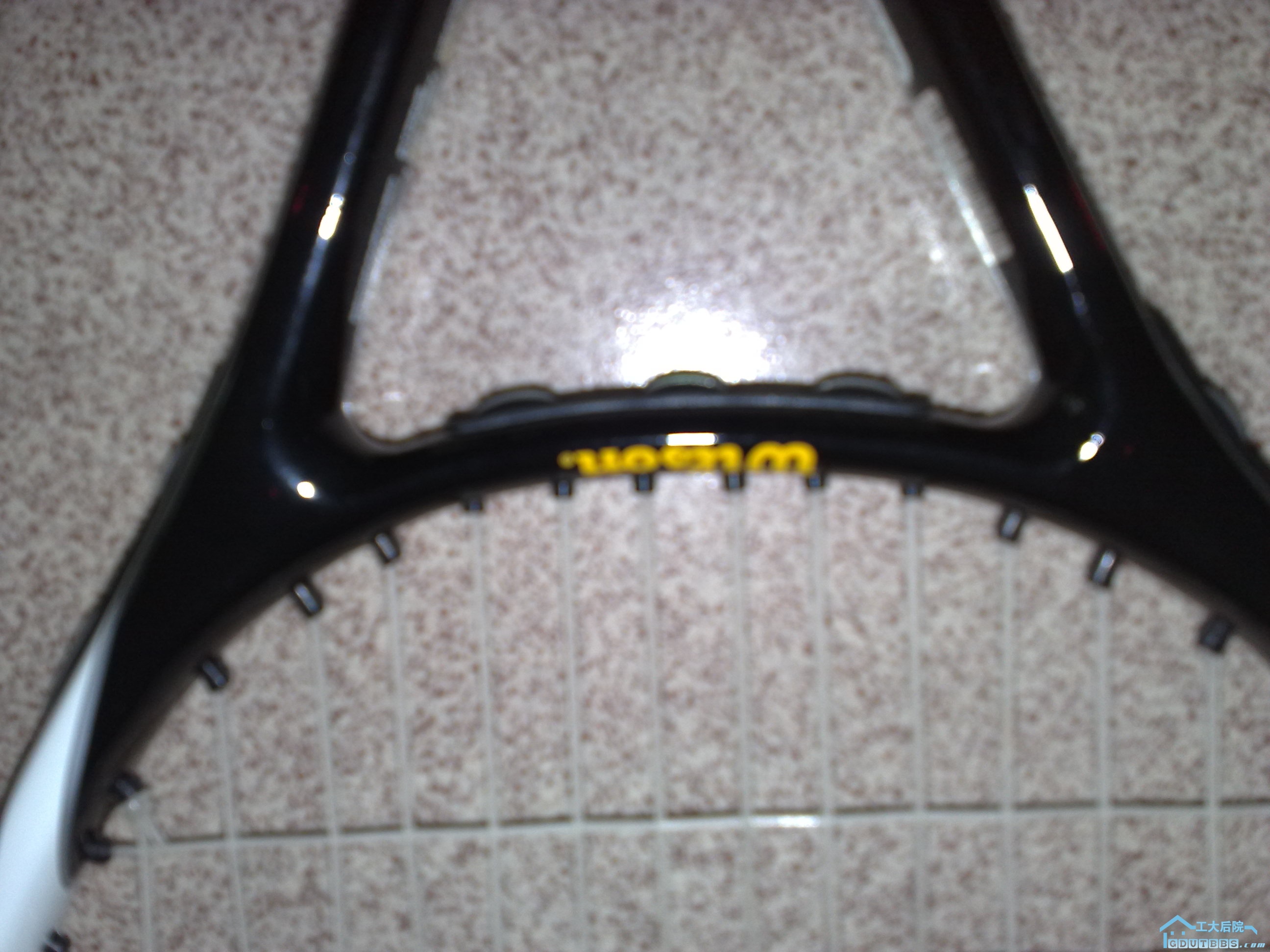 20100307278.jpg