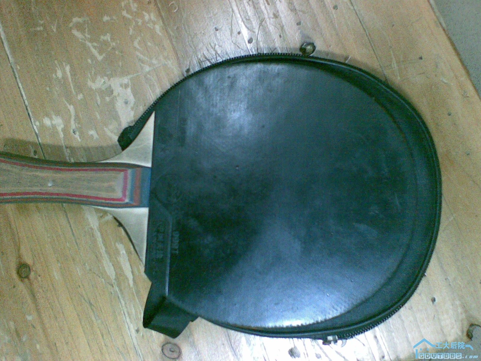 20100309_006.jpg