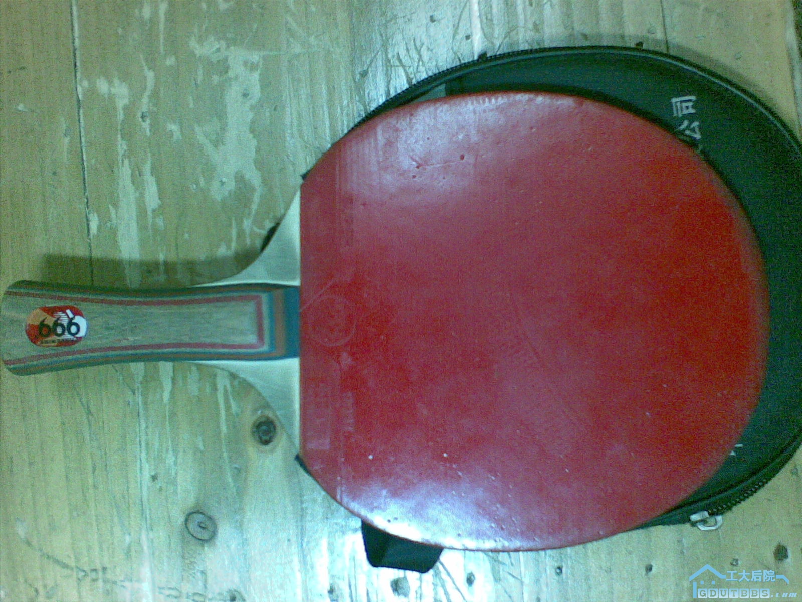 20100309_005.jpg