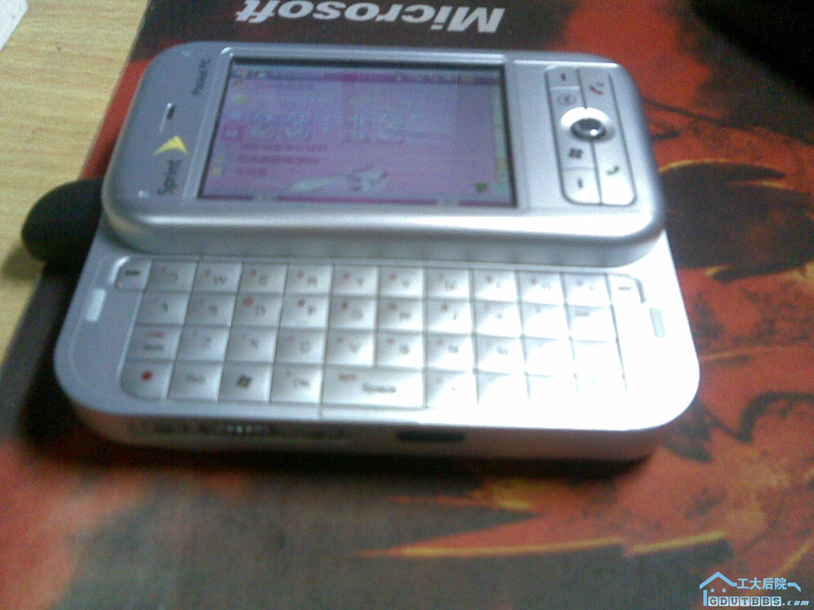 20100315(004).jpg