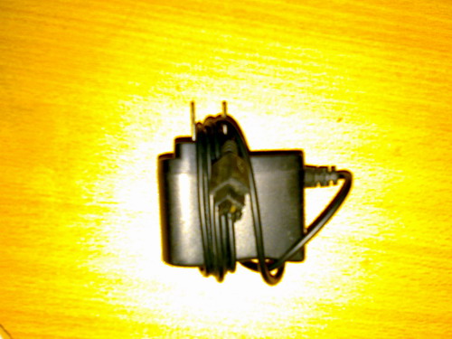 201003041026.JPG