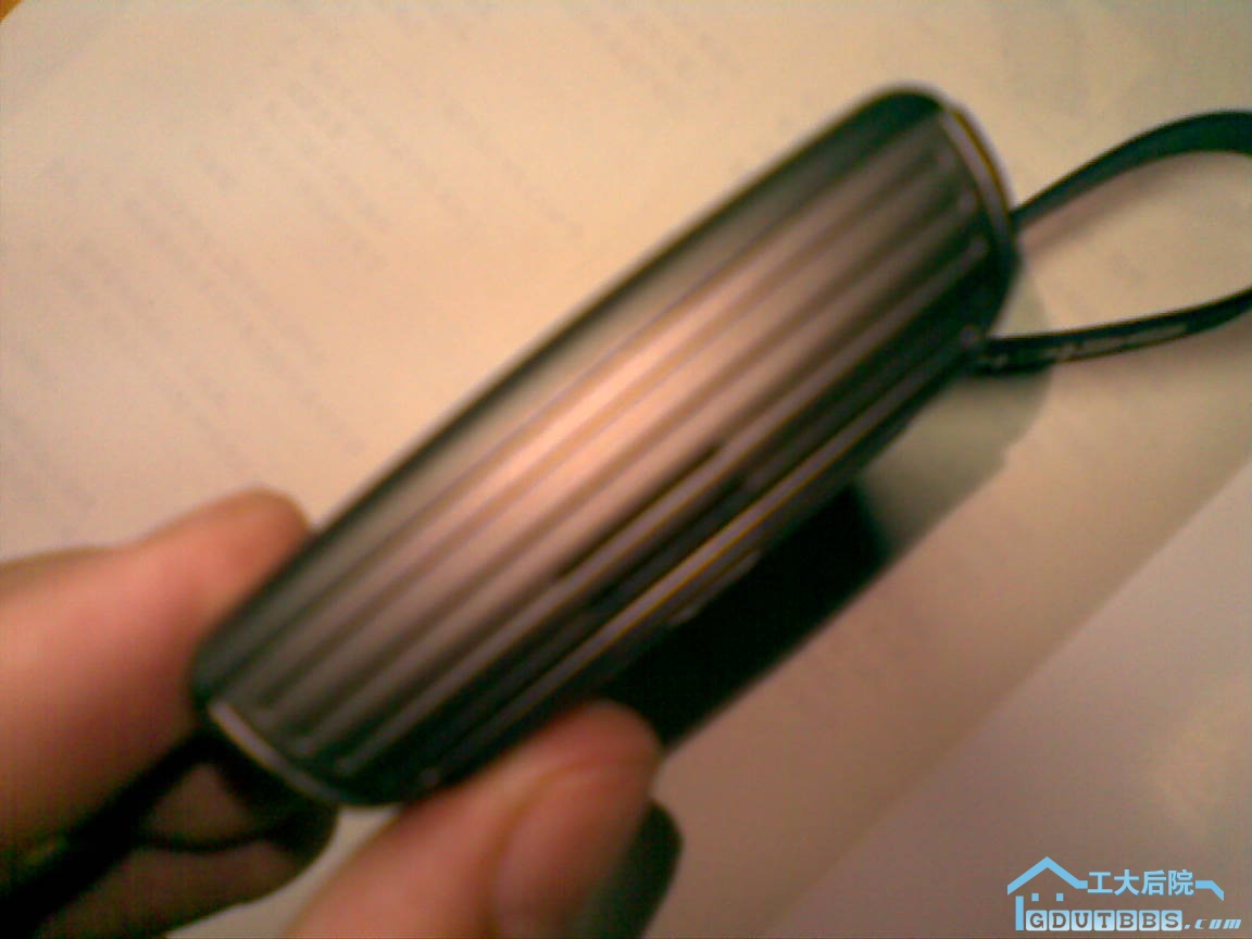 20100317(005).jpg