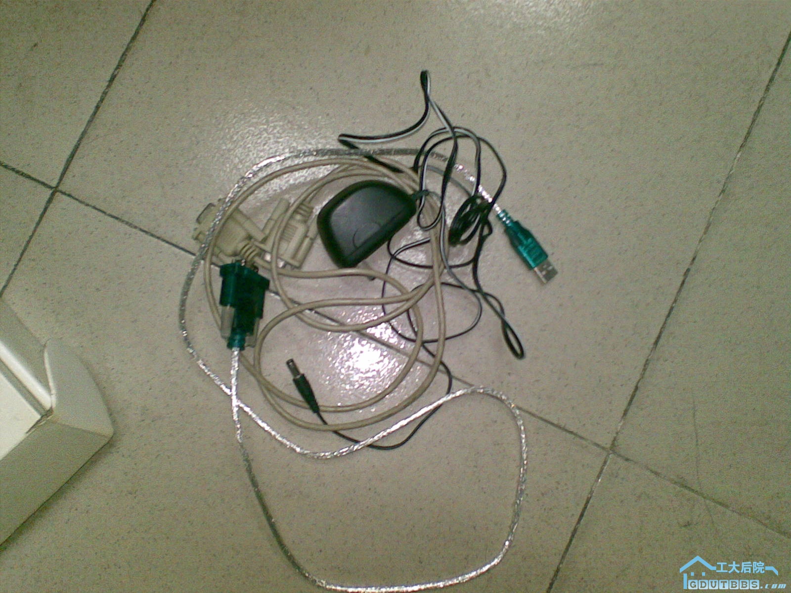 20100316(011).jpg