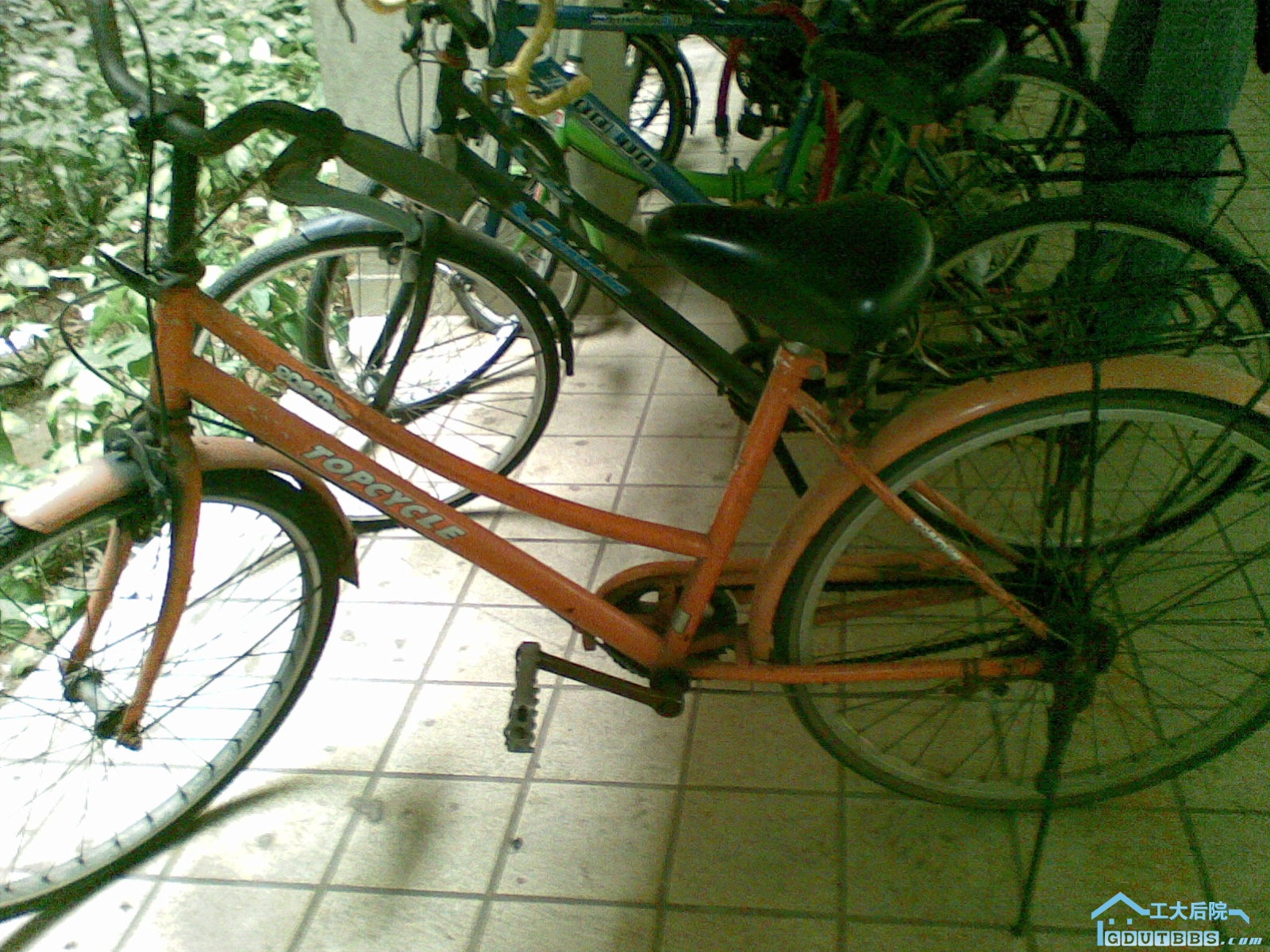 20100317.jpg