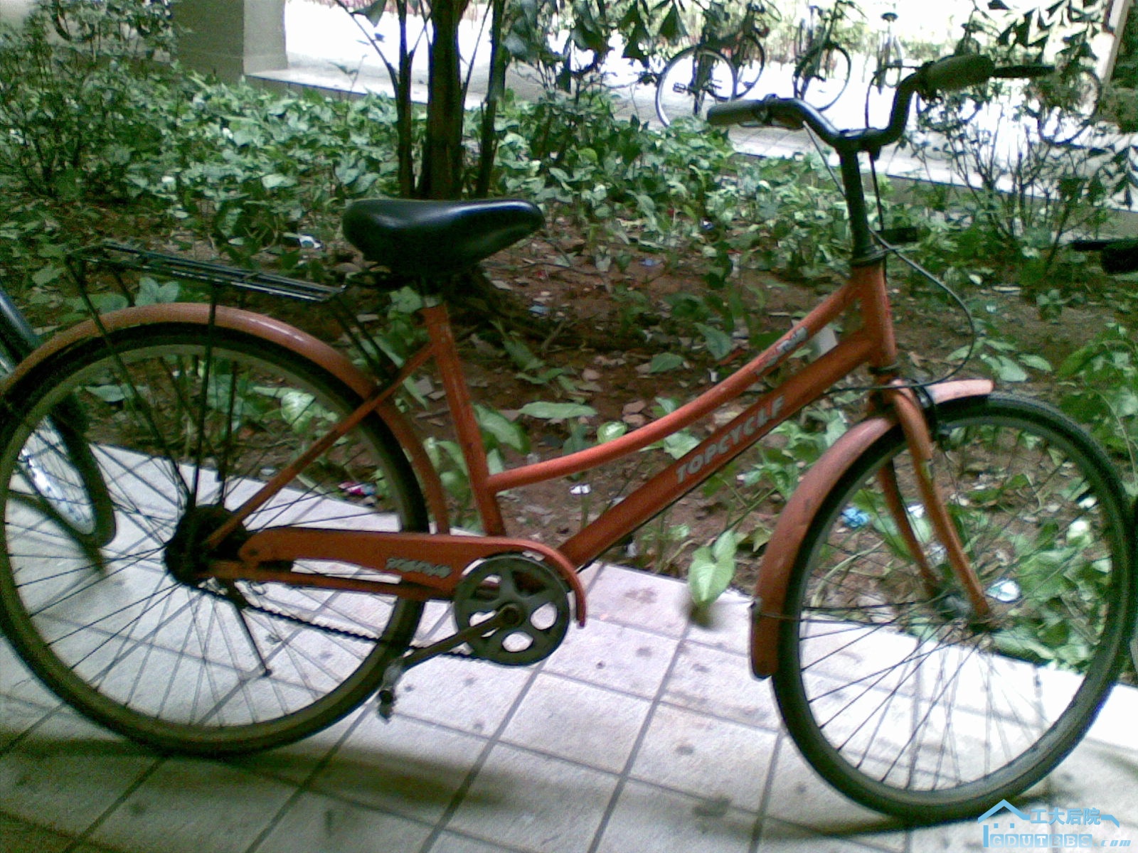 20100317(001).jpg