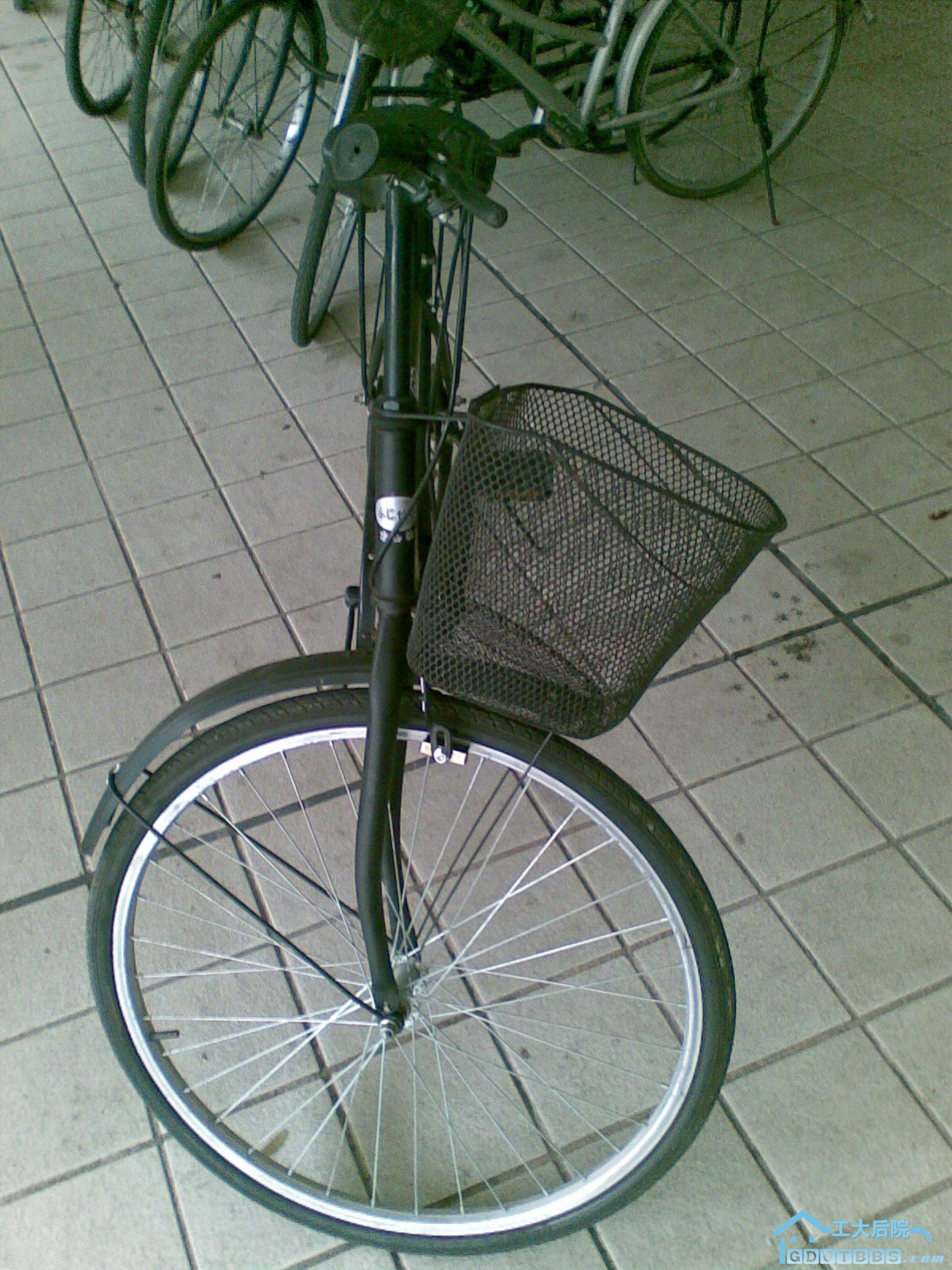 20100317(003).jpg