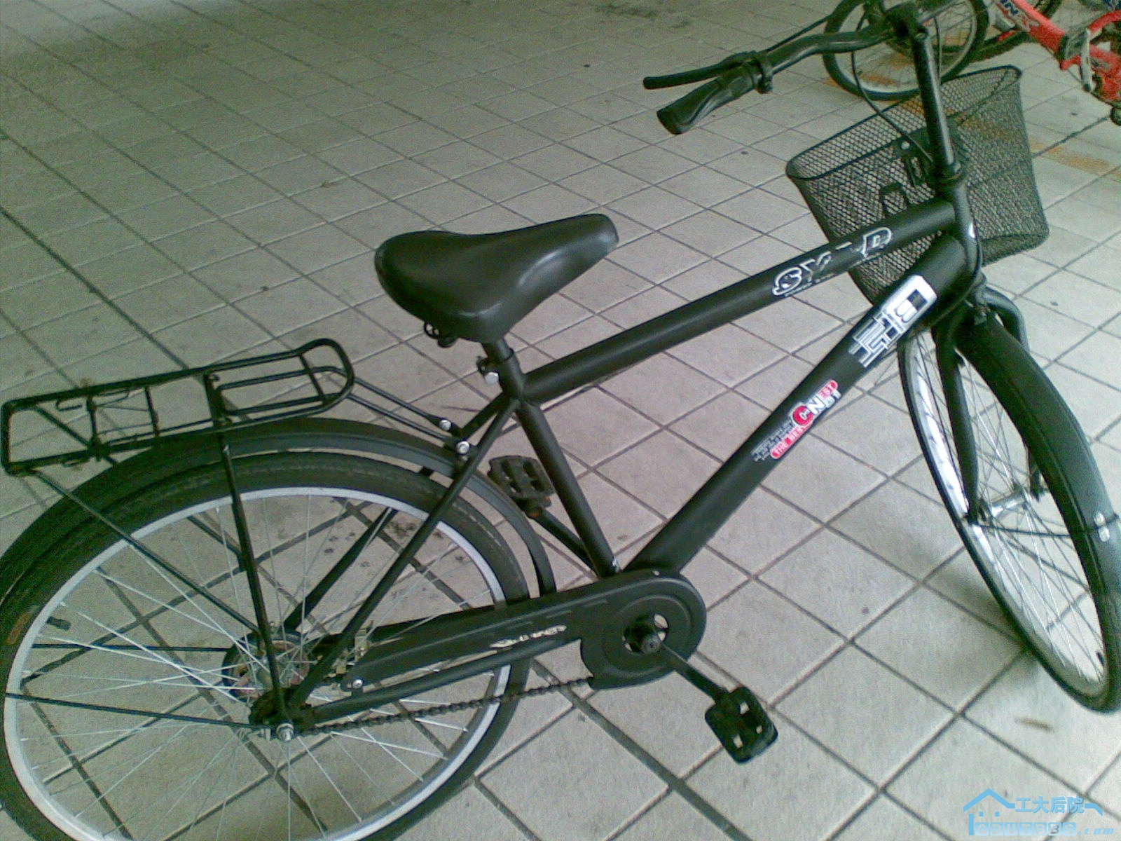 20100317(005).jpg