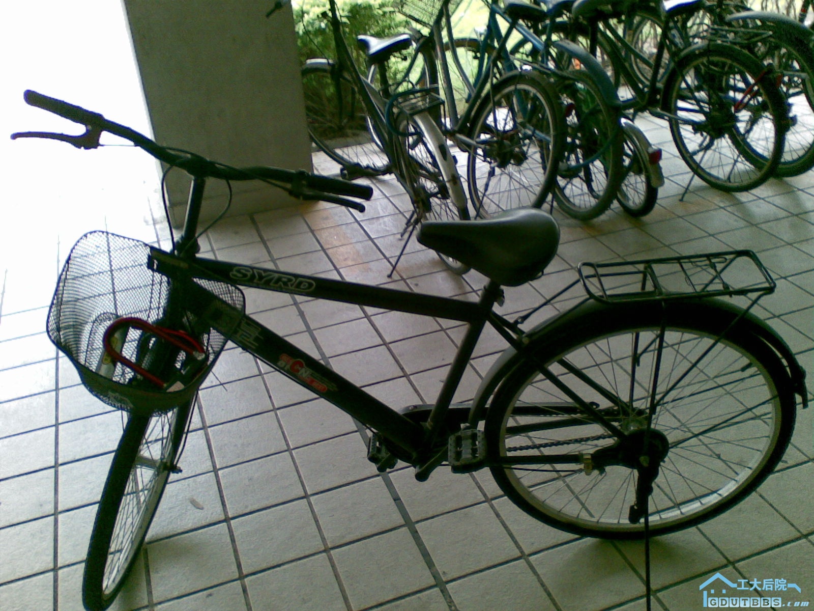20100317(002).jpg