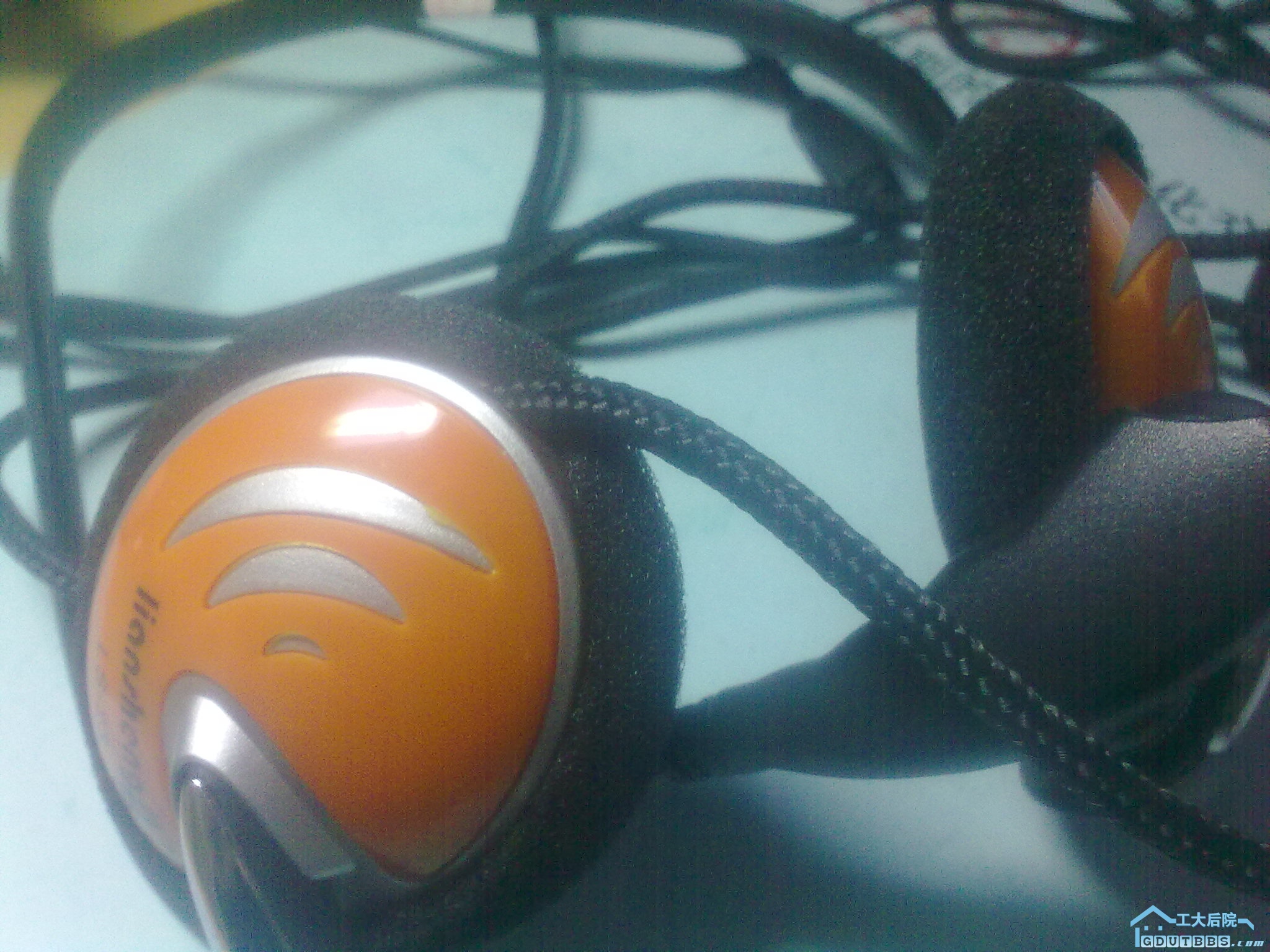 20100318635.jpg