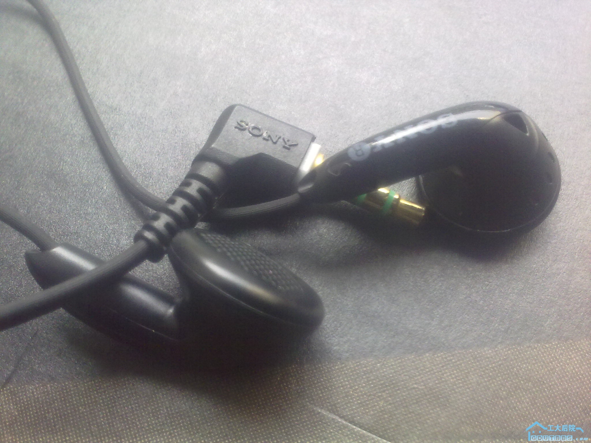 20100318615.jpg